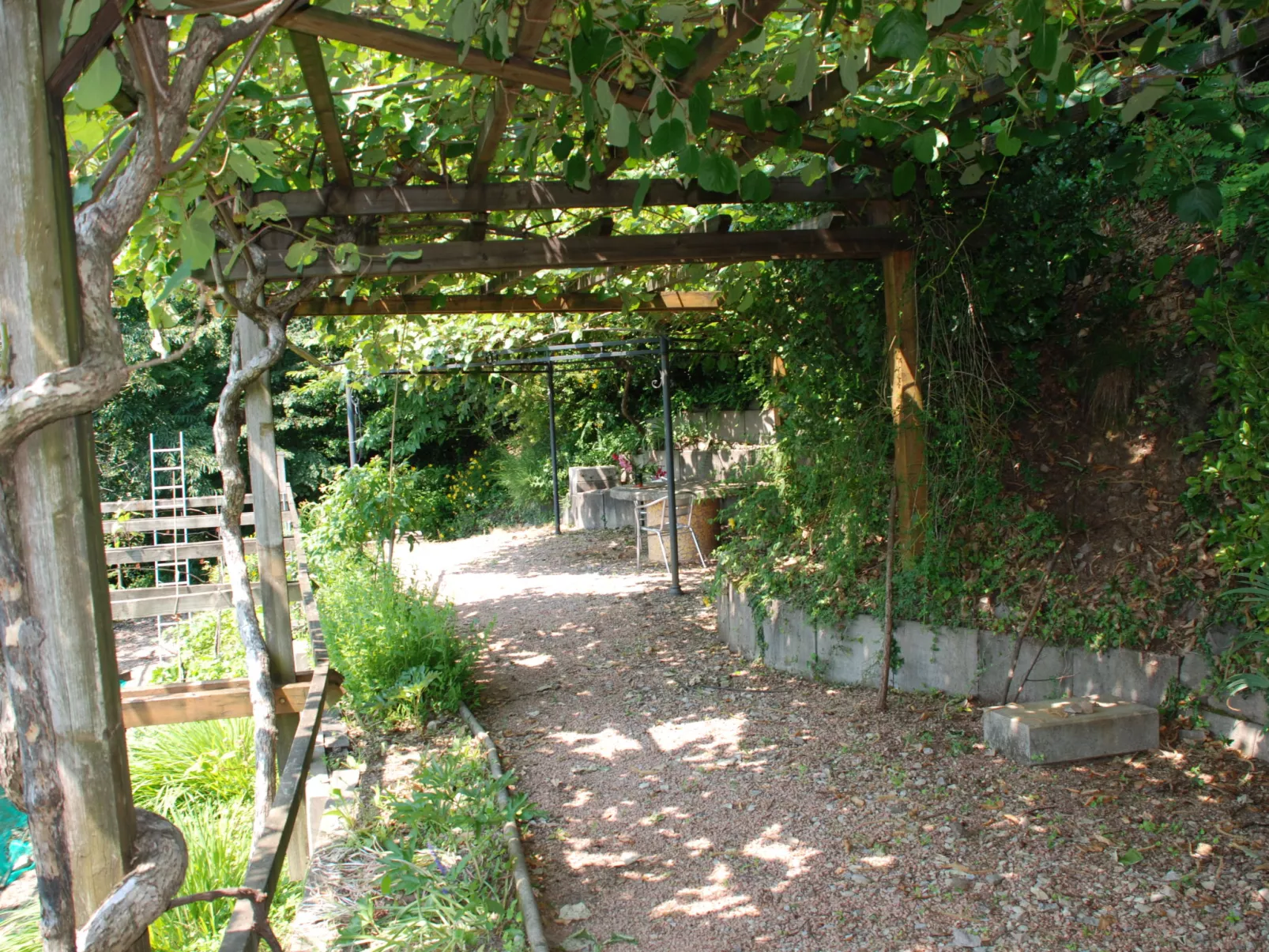Studio al vigneto-Outside