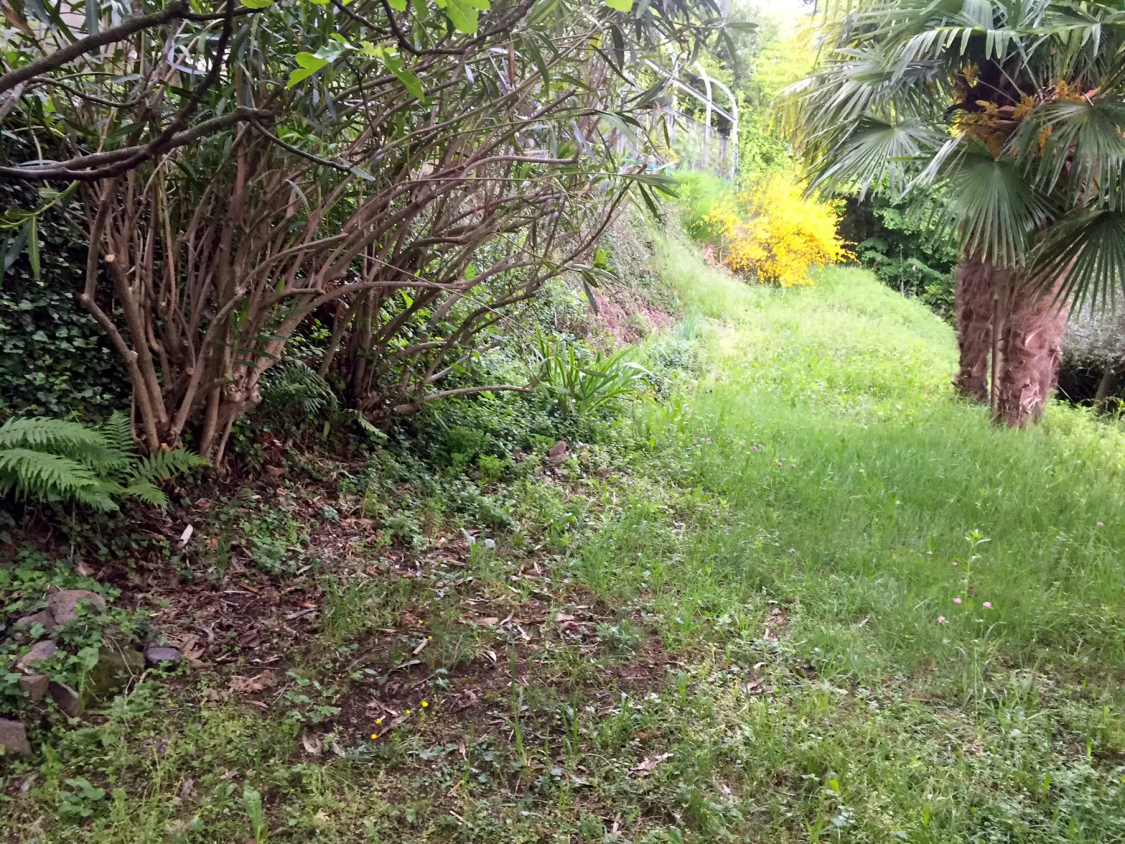 Studio al vigneto-Outside