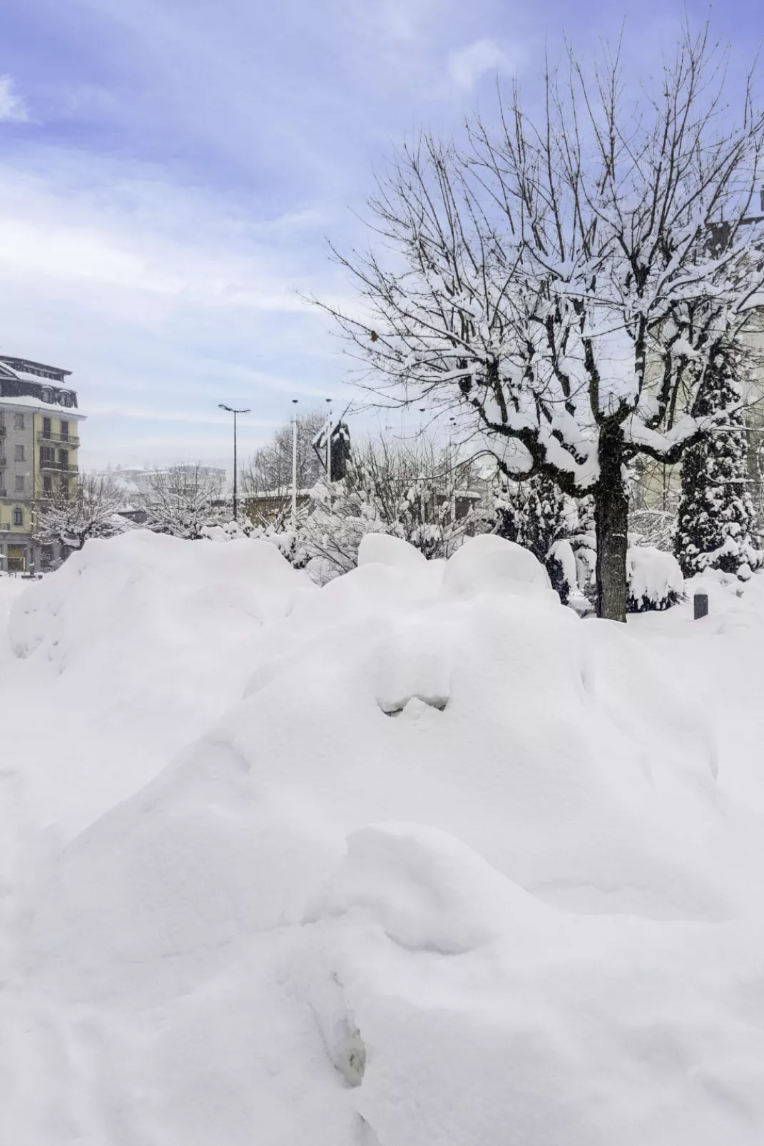 Arve 1 et 2-Area