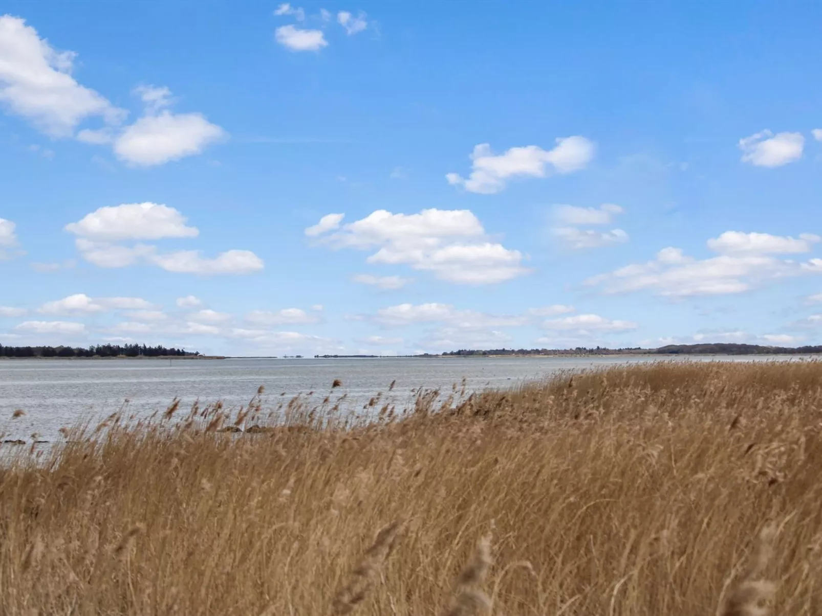 "Bendine" - 100m to the inlet-Outside