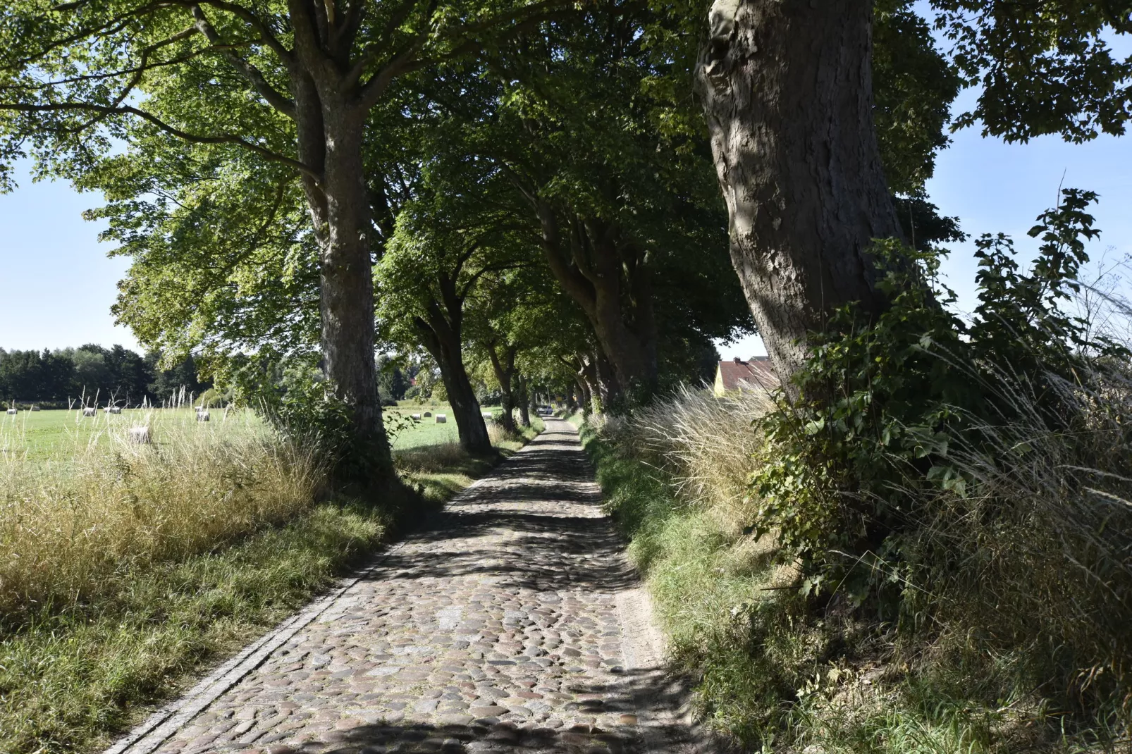 Ferienwohnung Sunny-Areas summer 5km