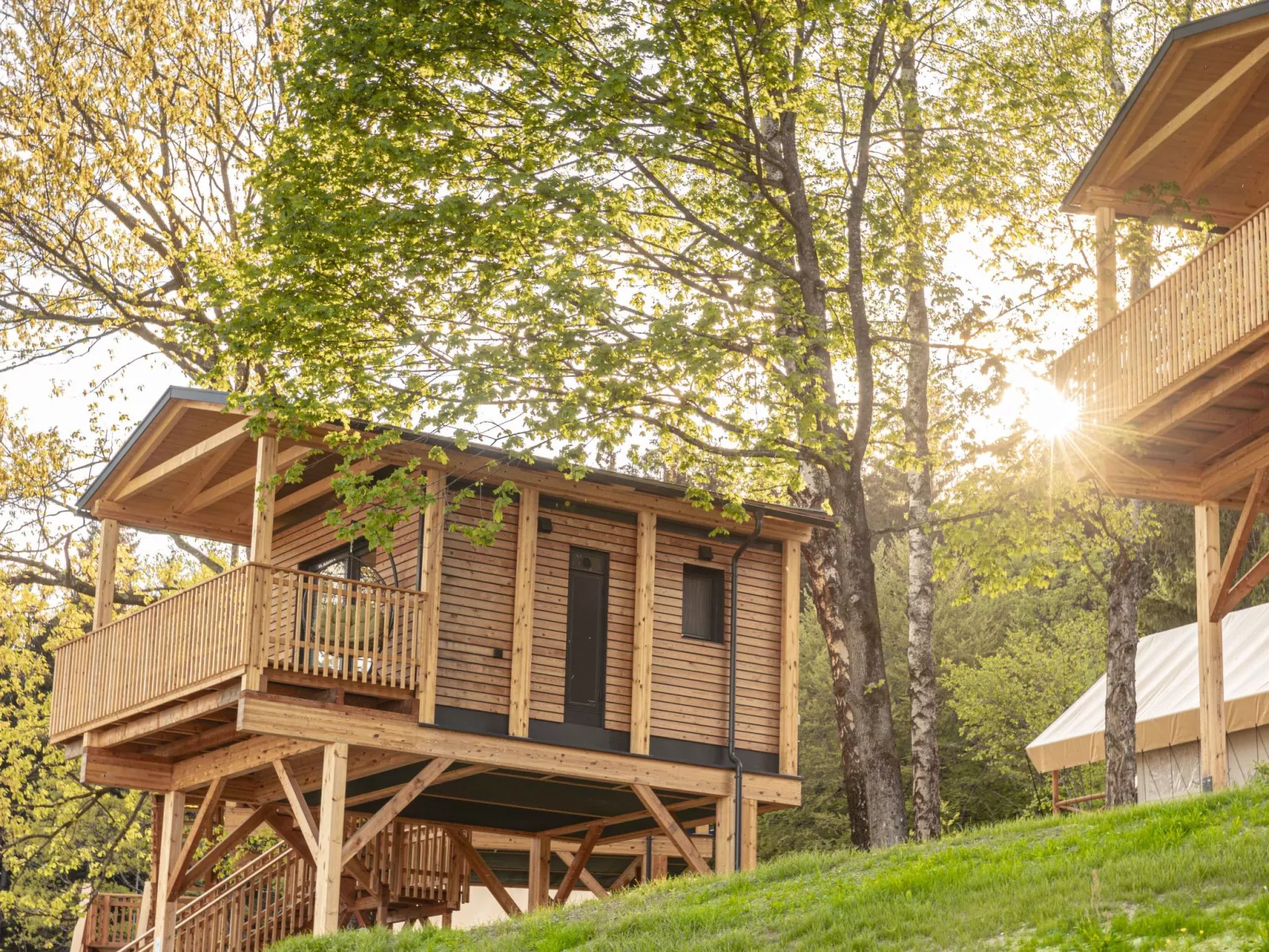 Premium Baumhaus mit 1 Schlafzimmer-Outside
