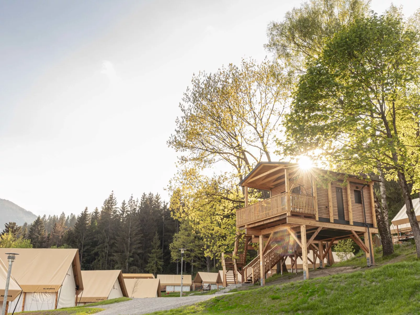 Premium Baumhaus mit 1 Schlafzimmer-Outside