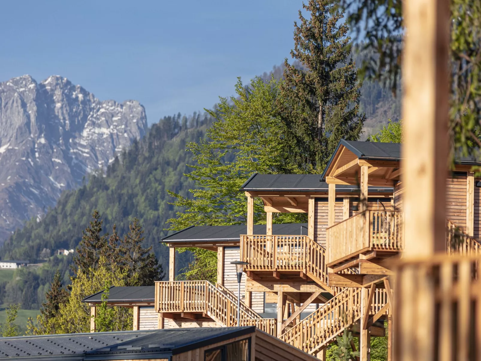 Premium Baumhaus mit 1 Schlafzimmer-Outside