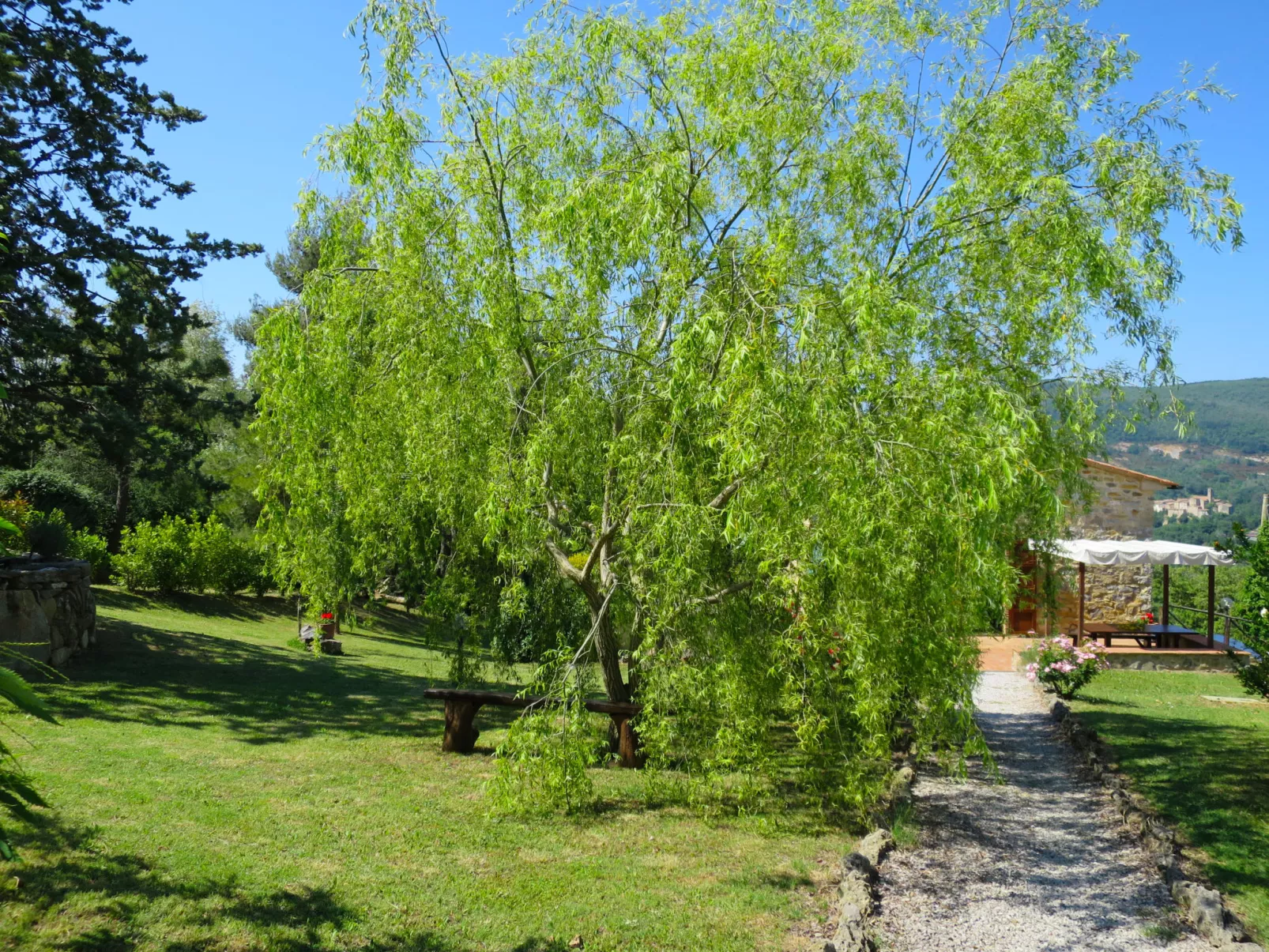 Pino di Sopra-Outside