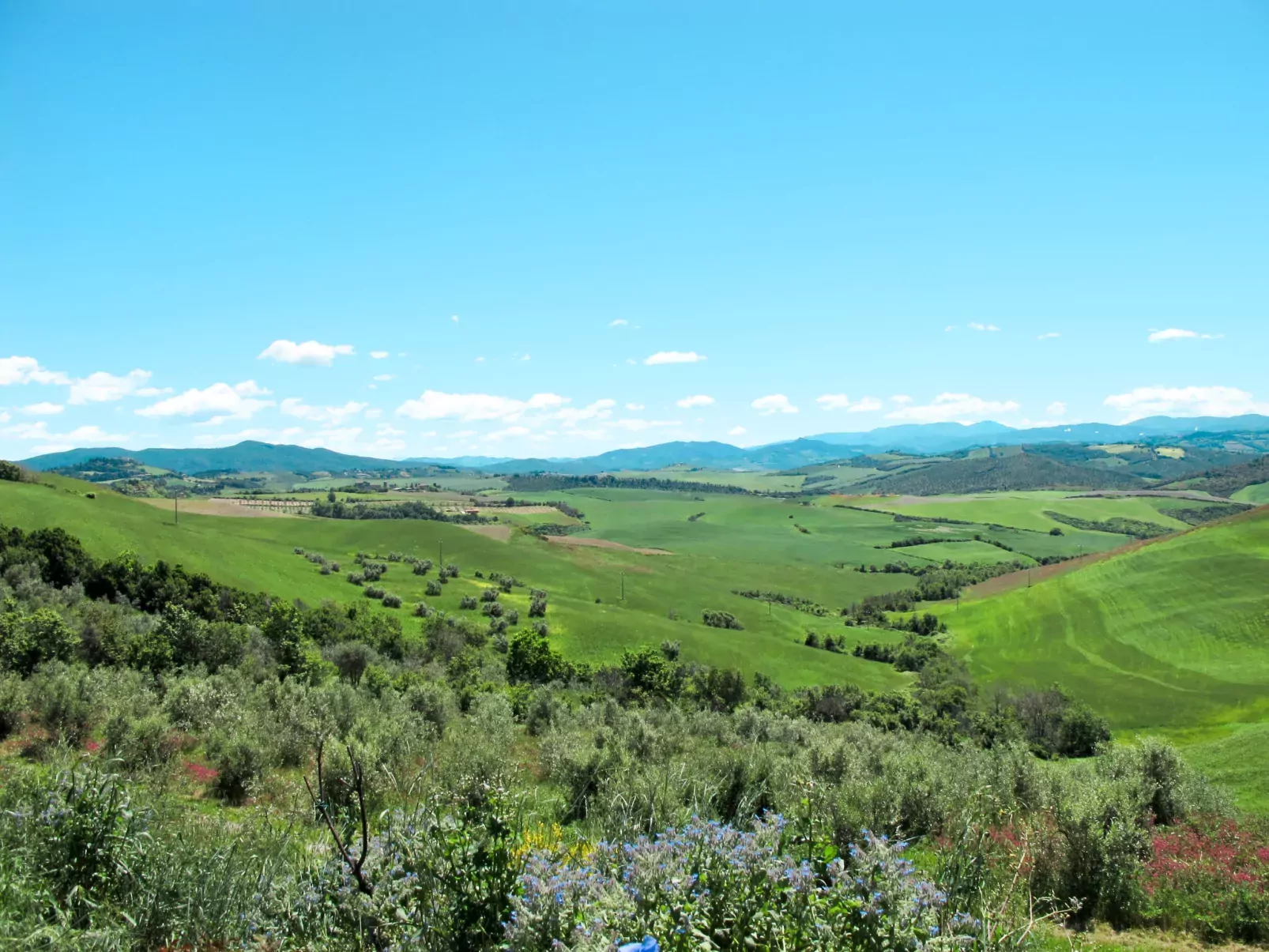 Pino di Sopra-Area