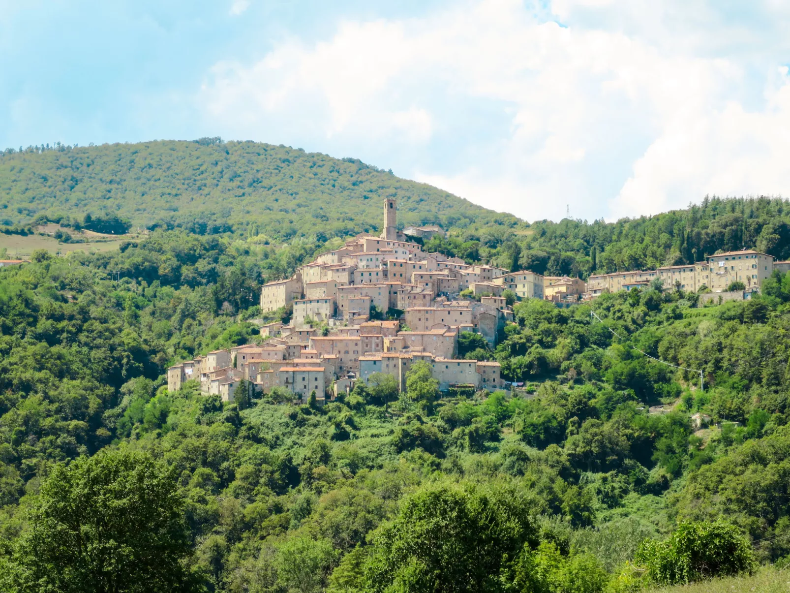 Pino di Sopra-Area