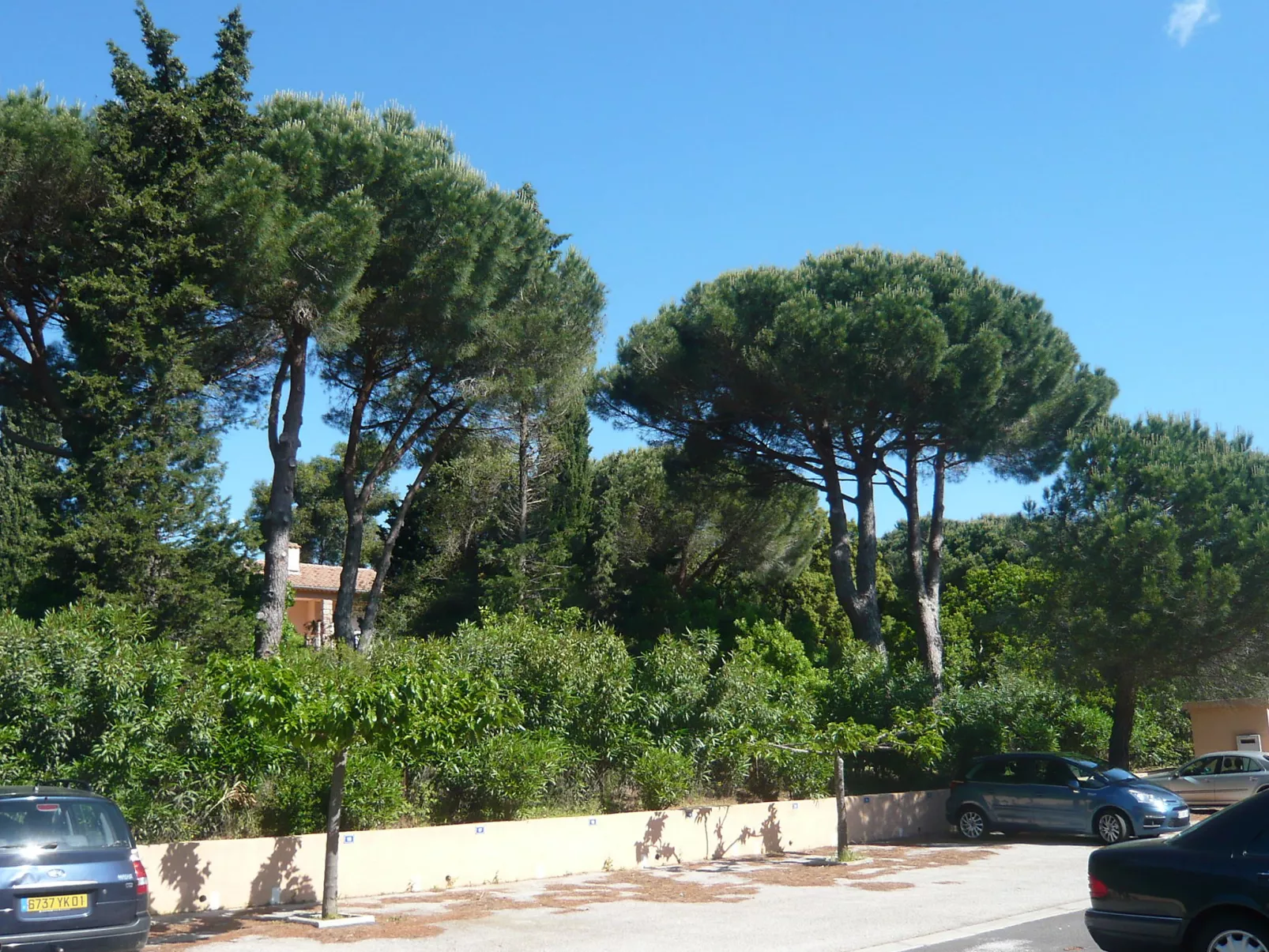 Les Vignes-Dehors