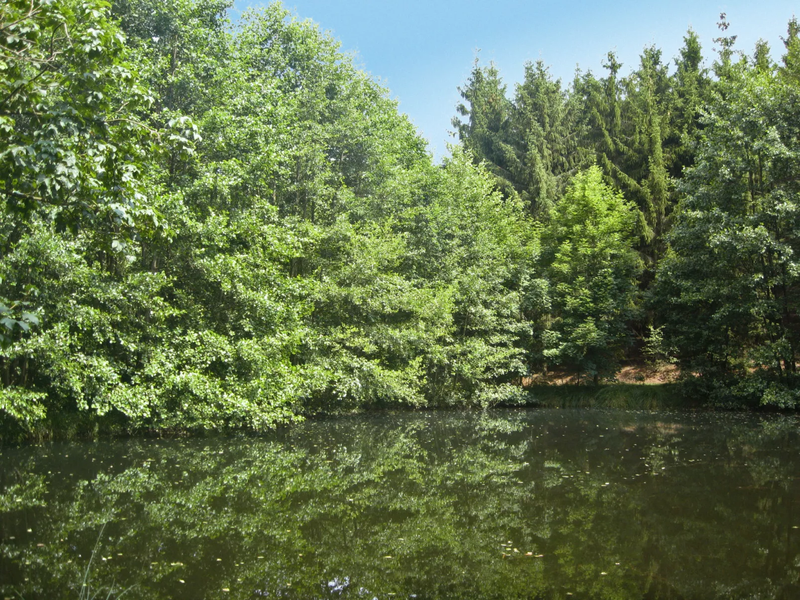 An der Eine-Area