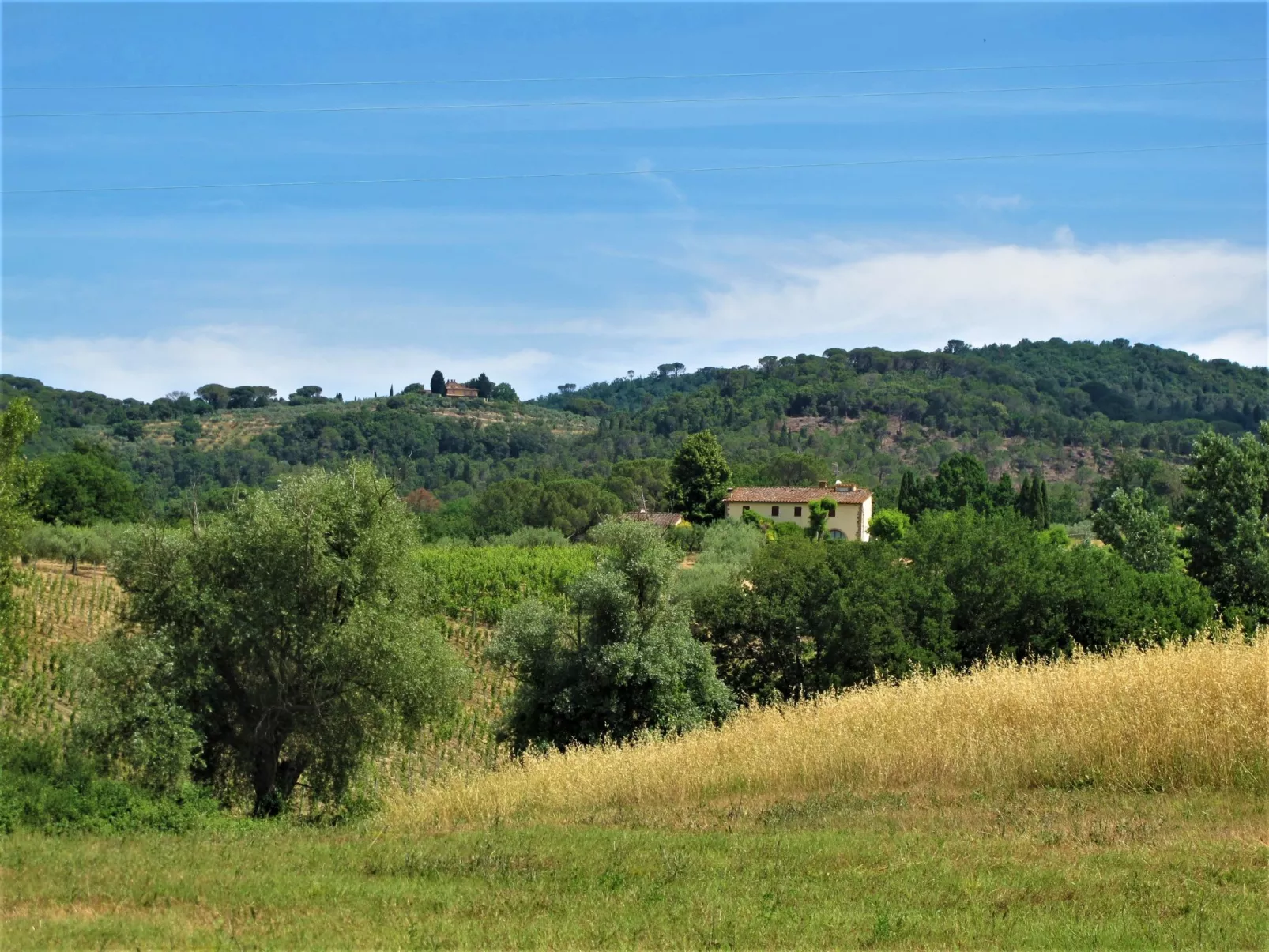 Villa Magna-Draußen