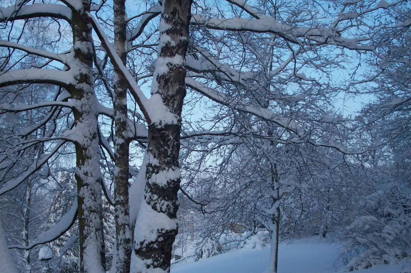 Les Muguets-Garden winter