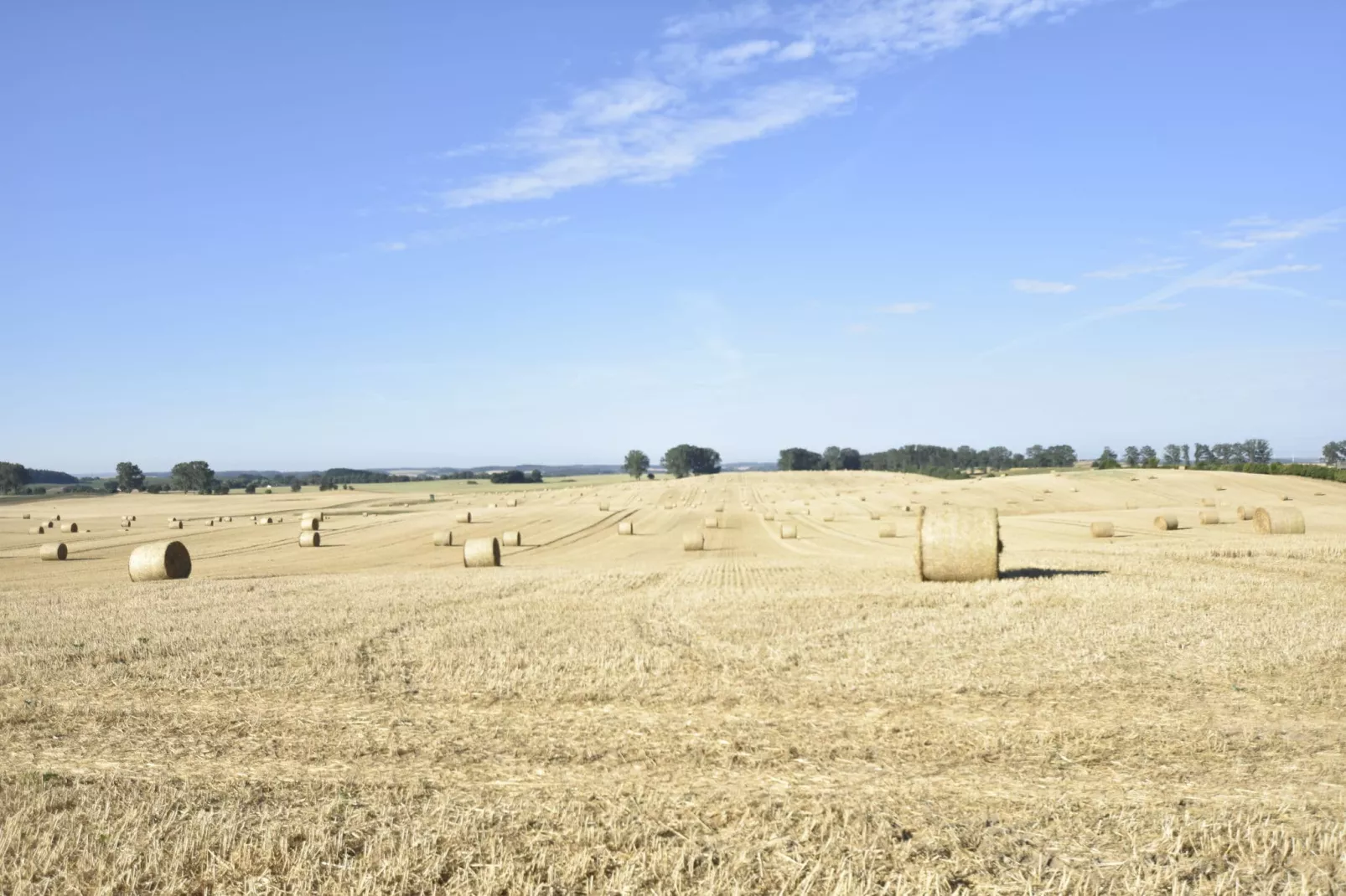 Ferienbungalow Kröpelin-Zones d'été à 1 km