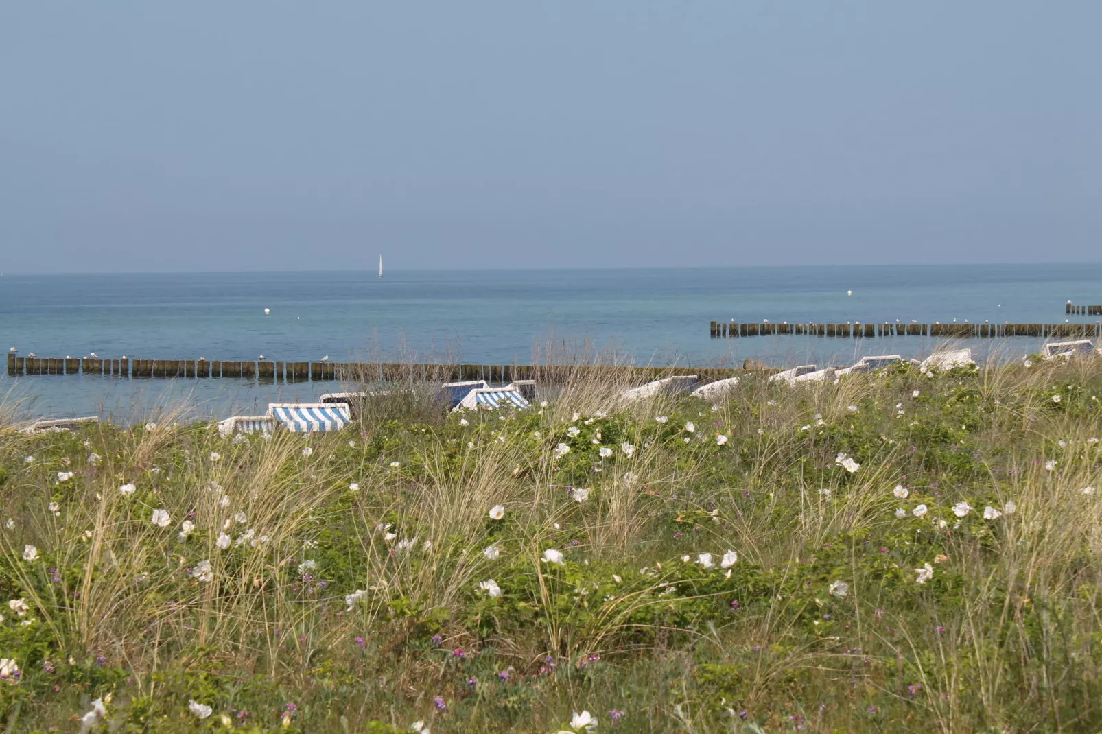 Ferienbungalow Kröpelin-Ambiance