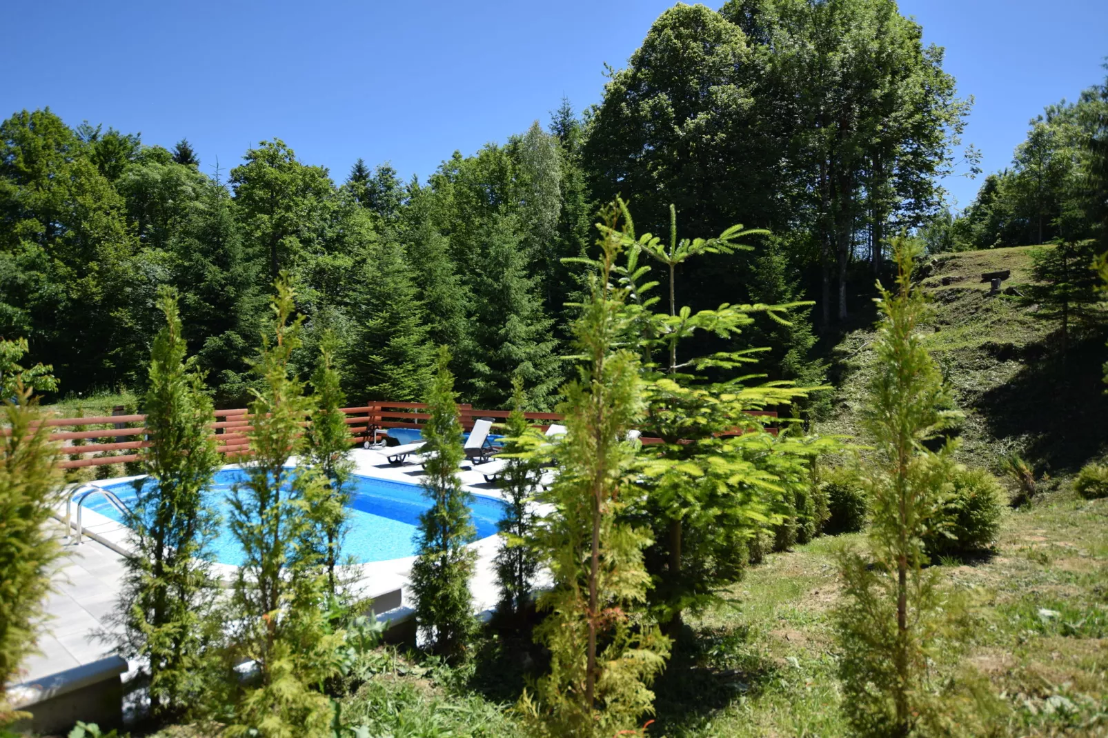 Silvano 2-Gardens summer