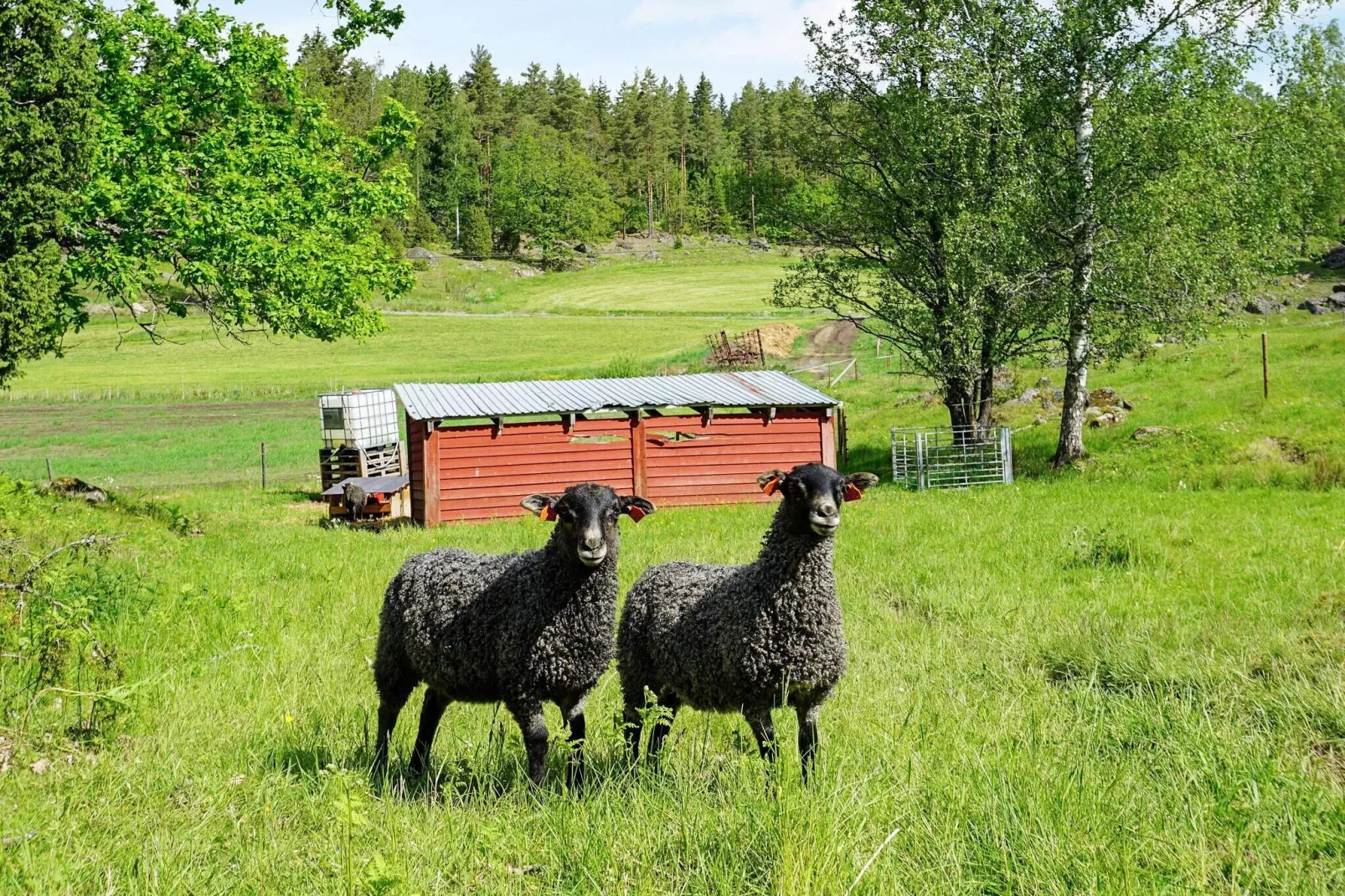 4 person holiday home in Mellösa-Not tagged