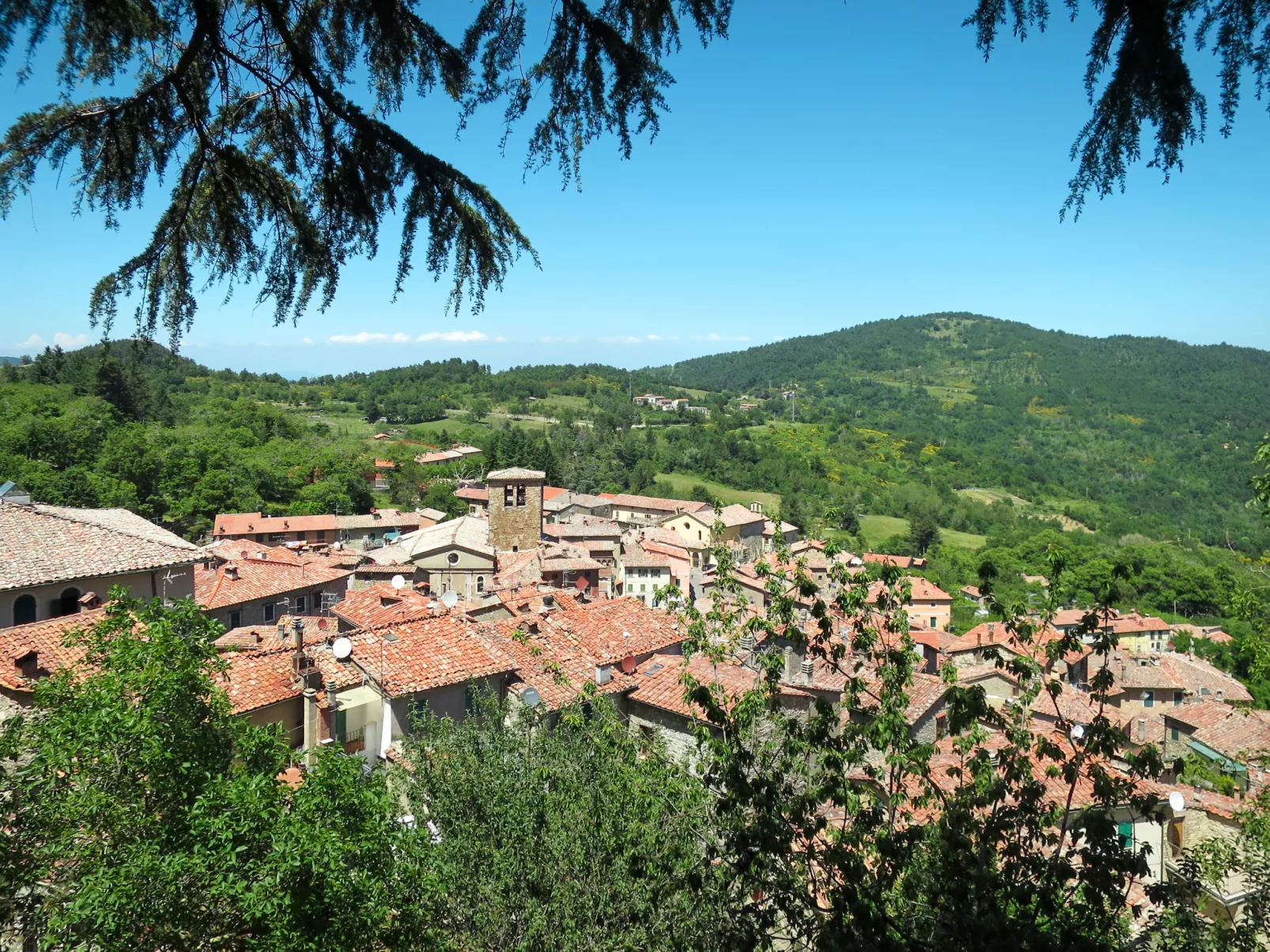Villi-Area