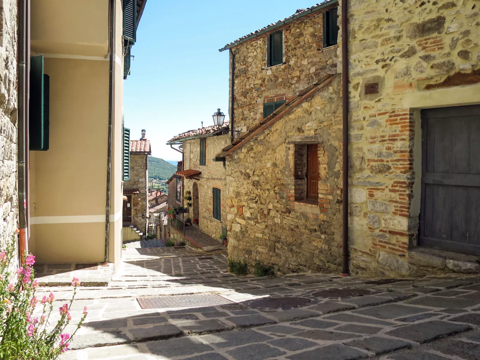 Villi-Area