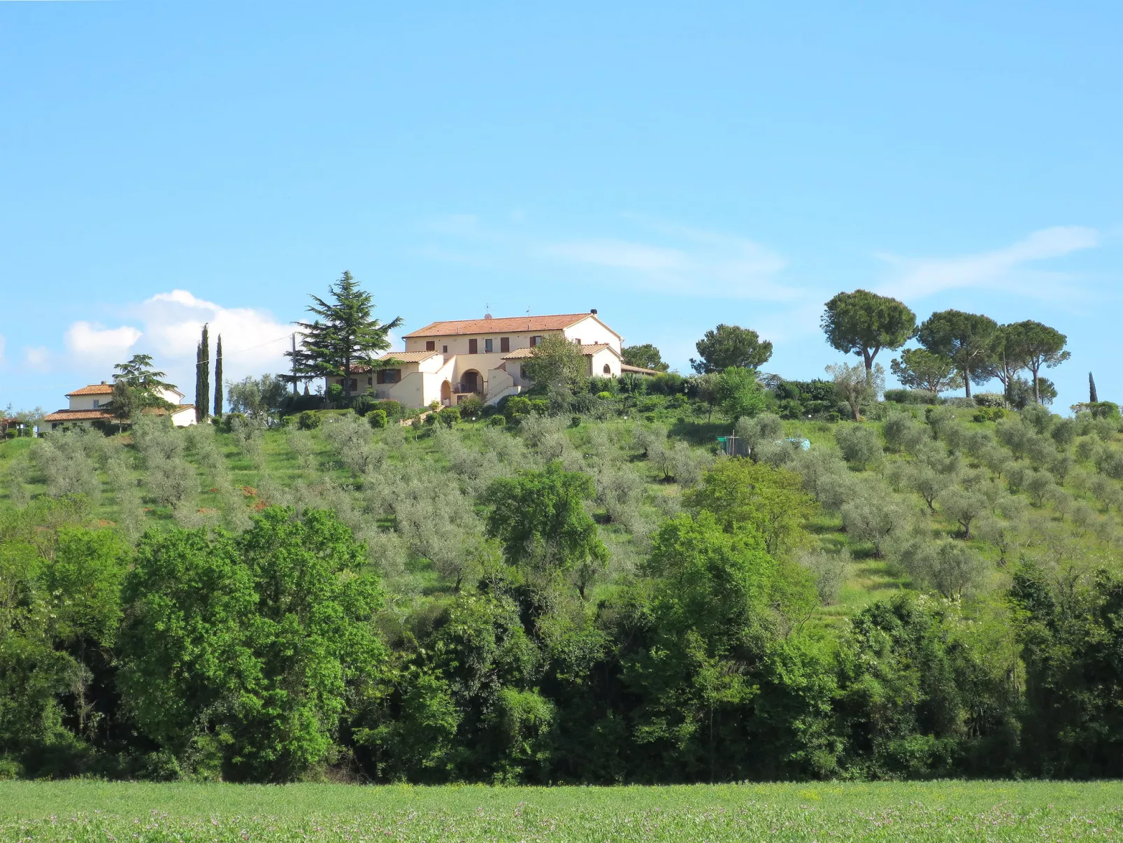 Cellina - Baia degli Ulivi-Outside