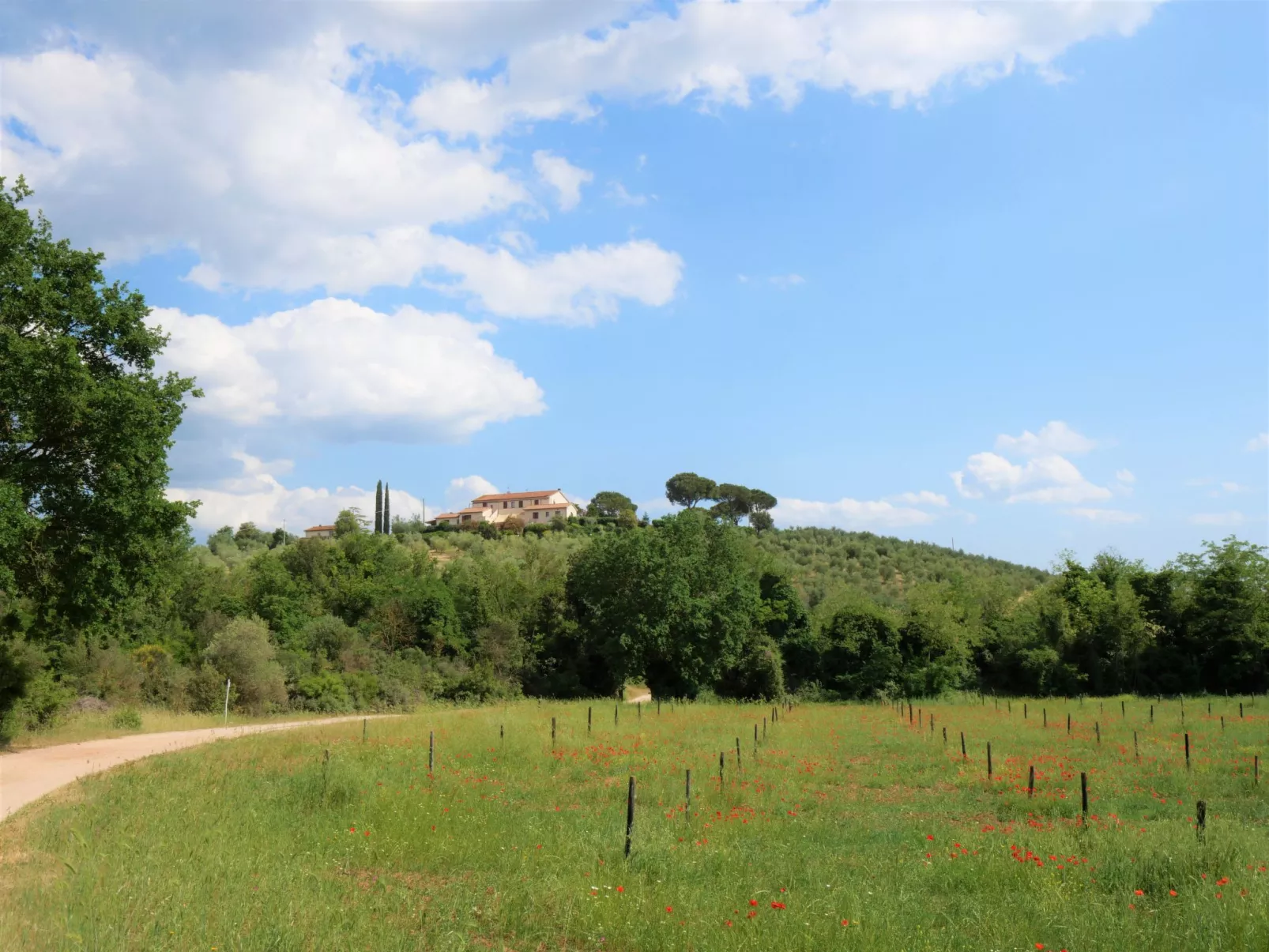 Cellina - Baia degli Ulivi-Outside