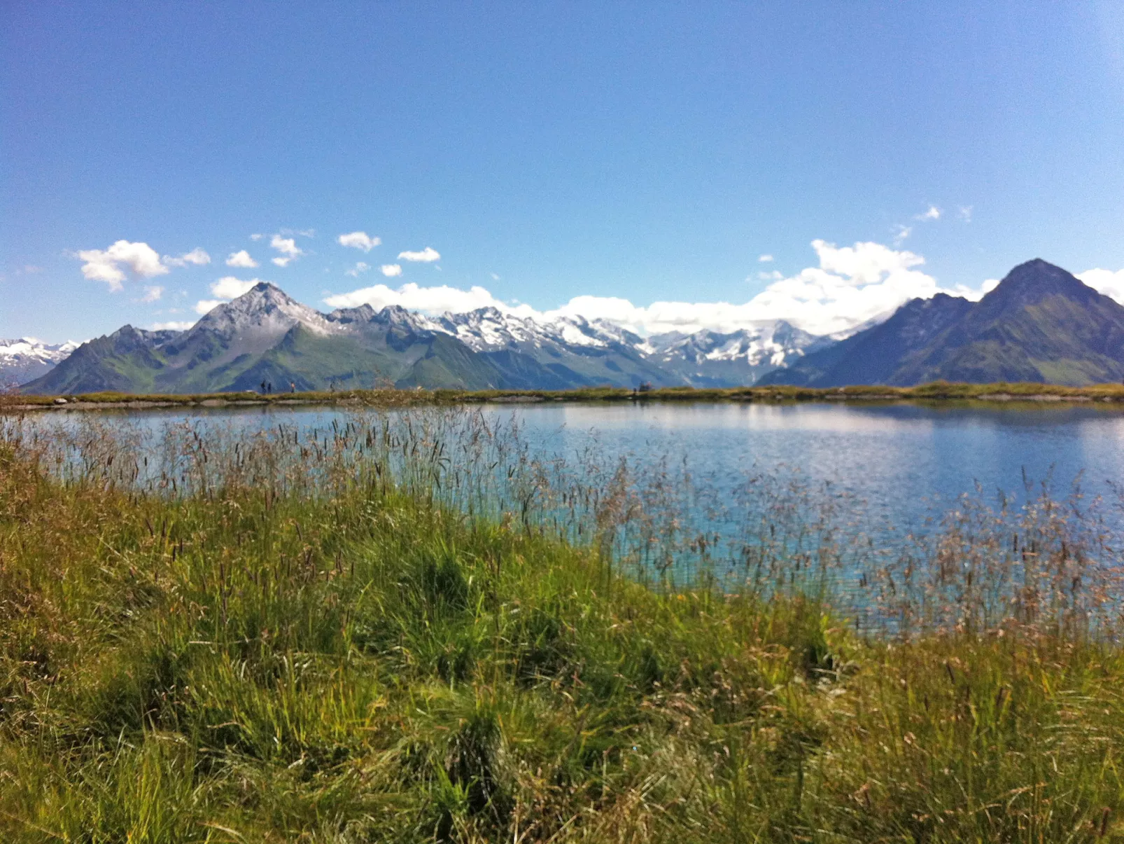 Alpin-Area