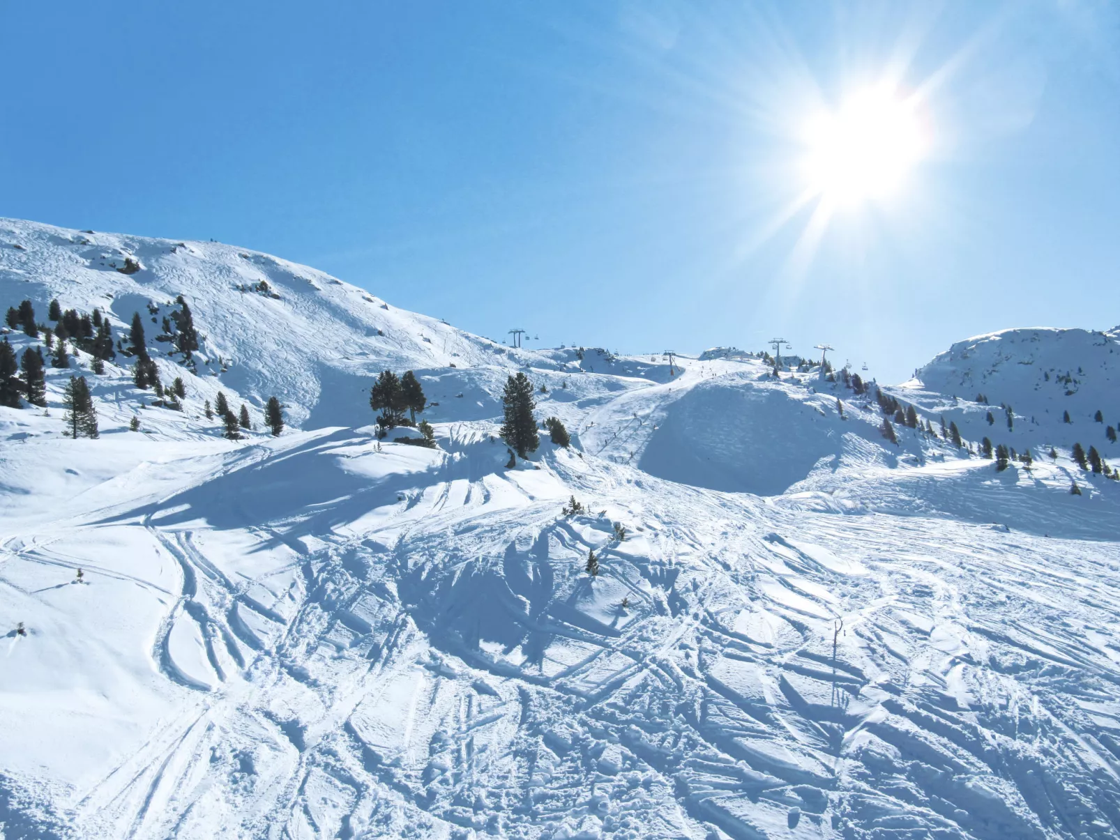 Alpin-Area