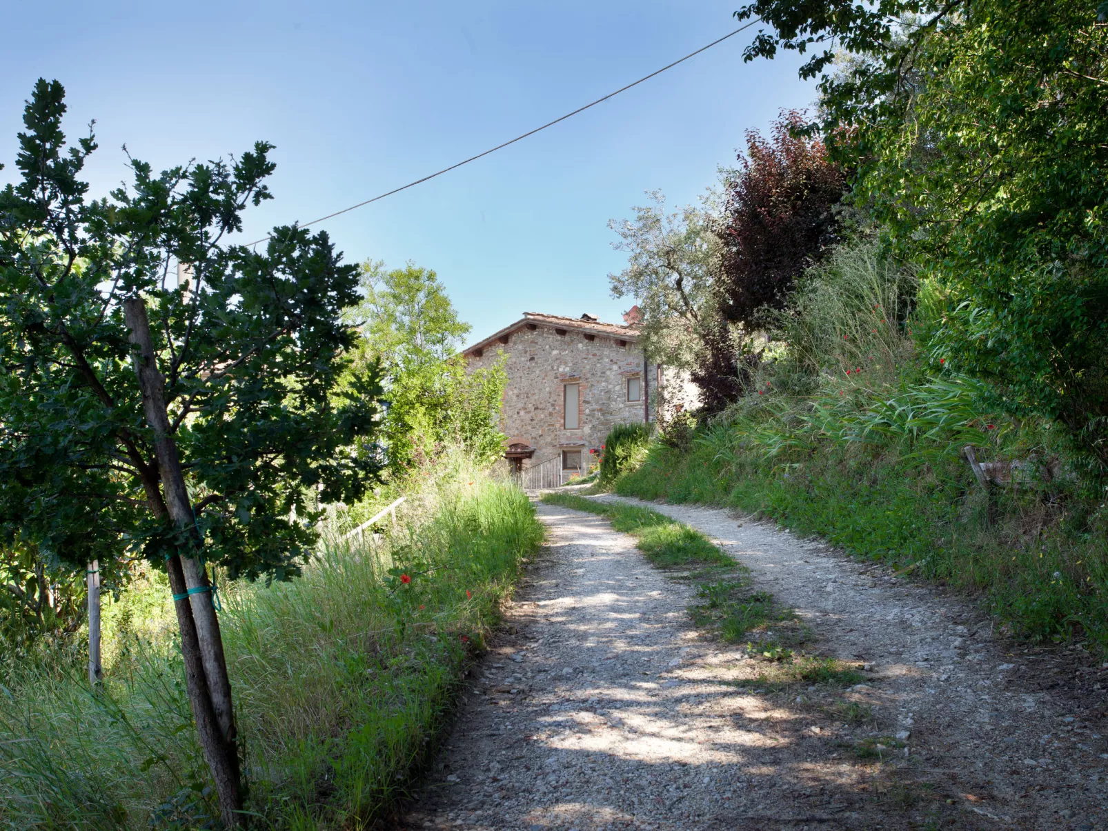 Policleto-Outside