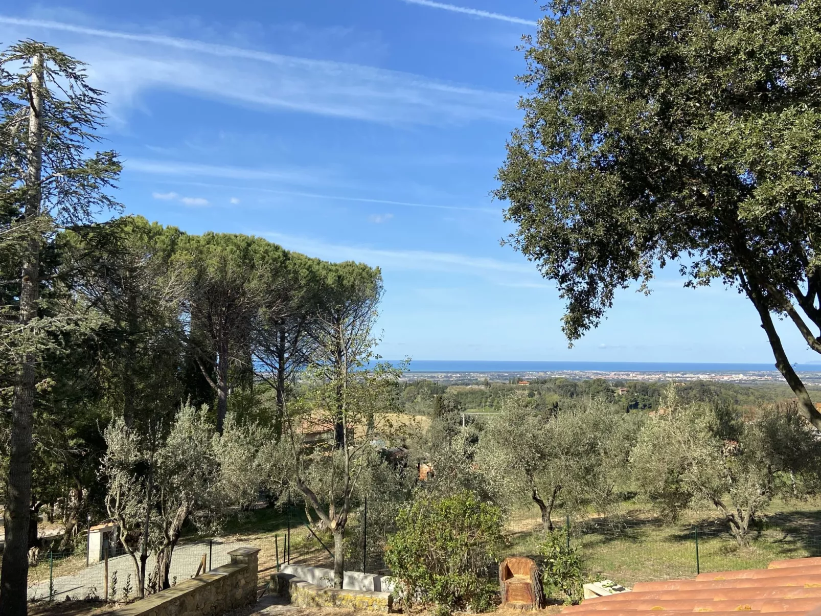 Montaleo 2-Outside