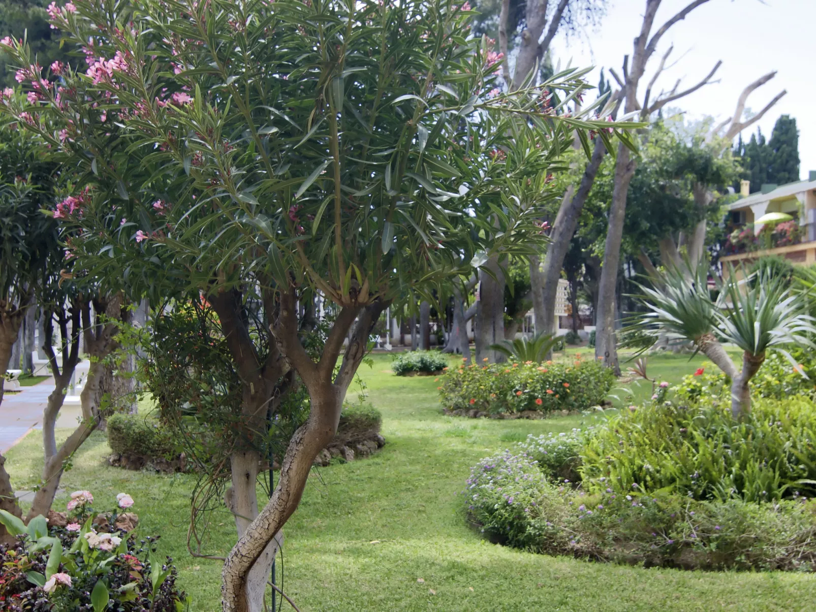 El Rocío-Outside