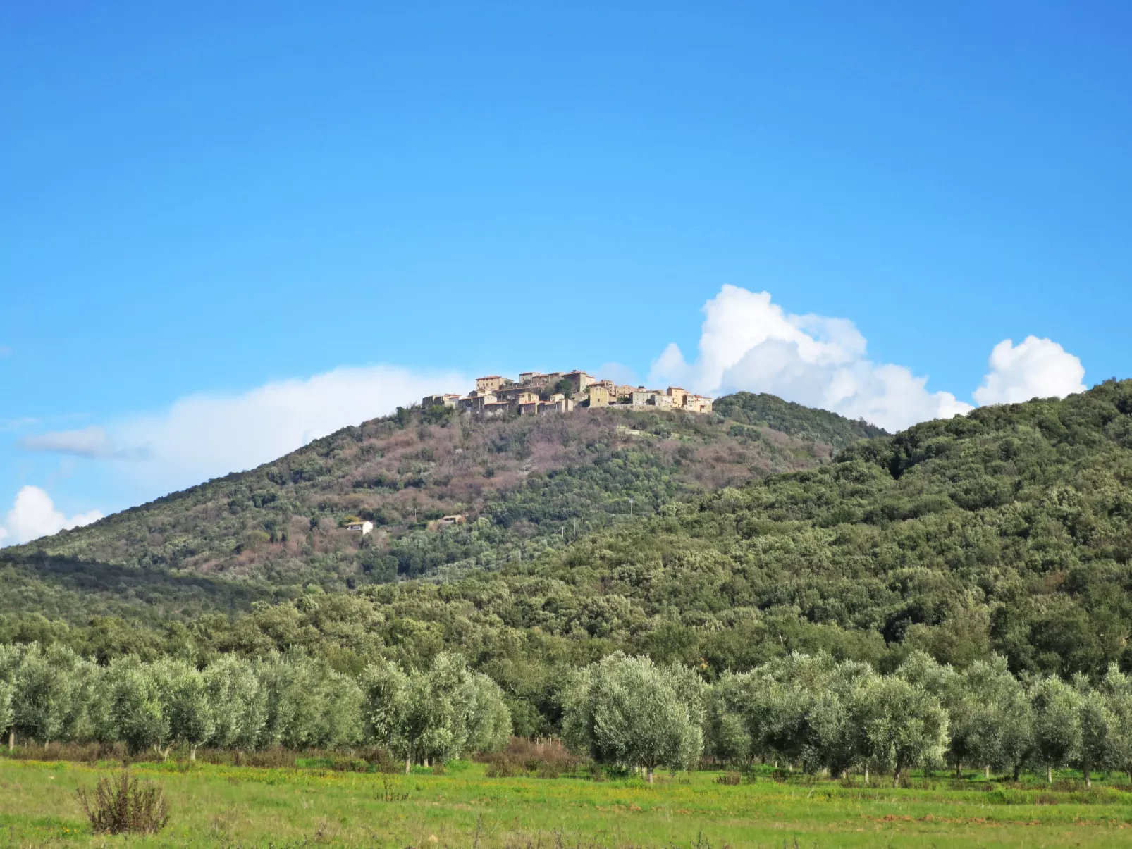 Poggiolo-Area