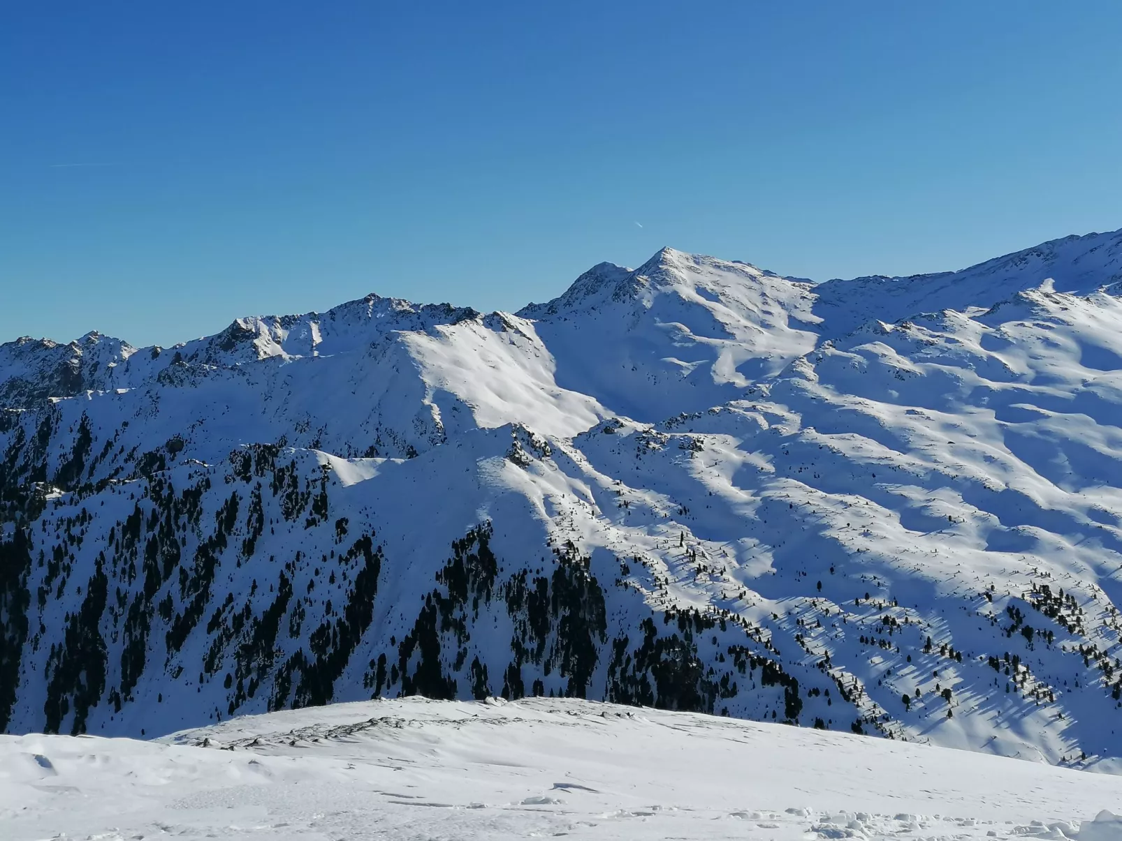 Wiese-Area