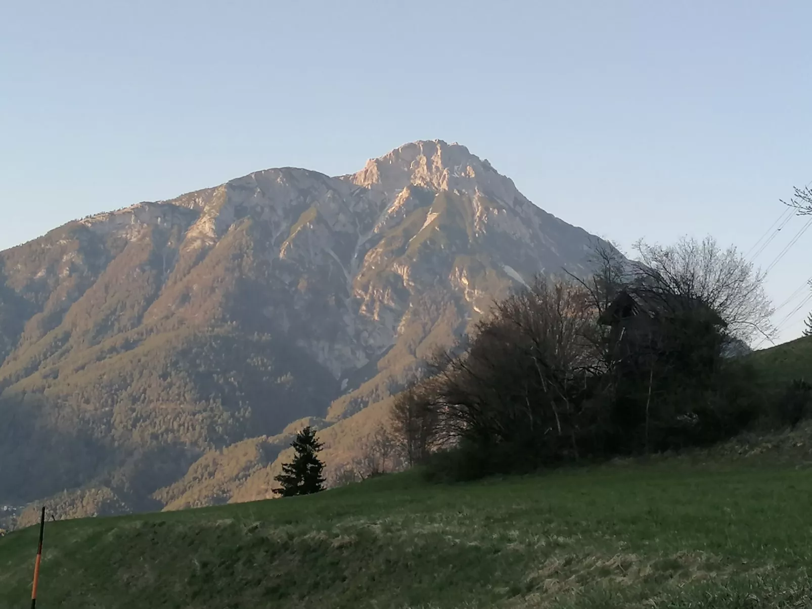Wiese-Area