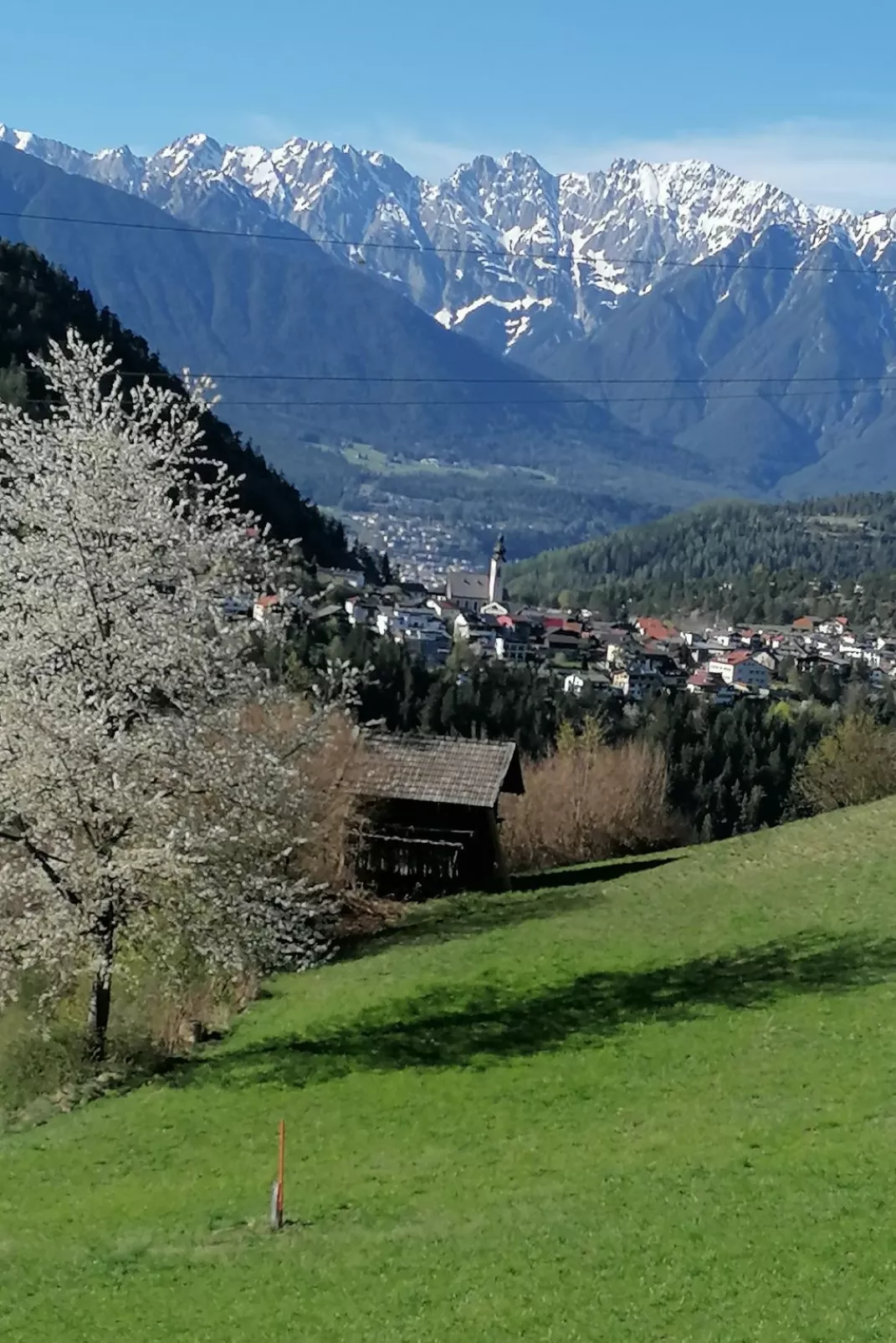 Wiese-Area