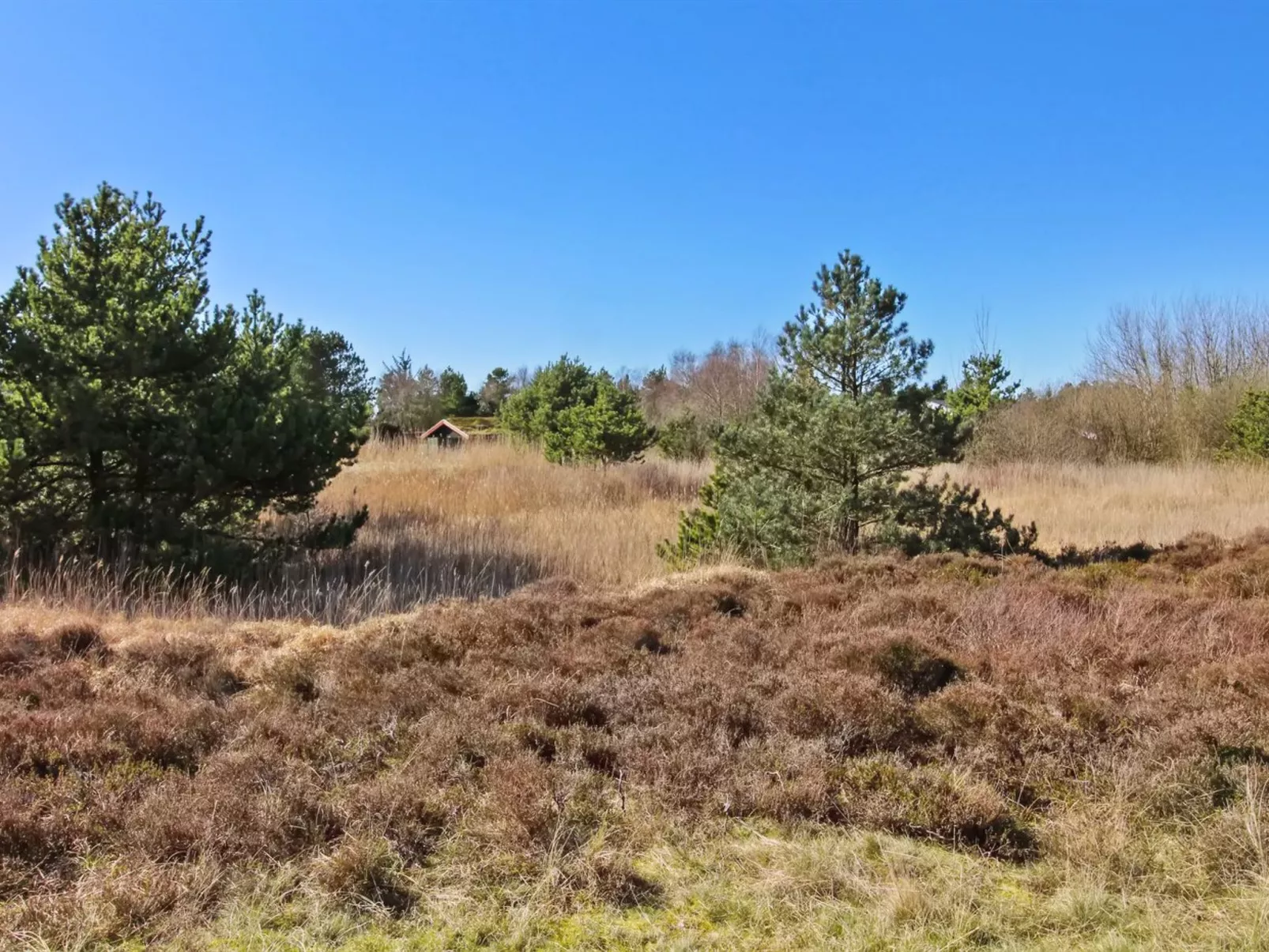 "Sara" - 2.5km from the sea-Outside