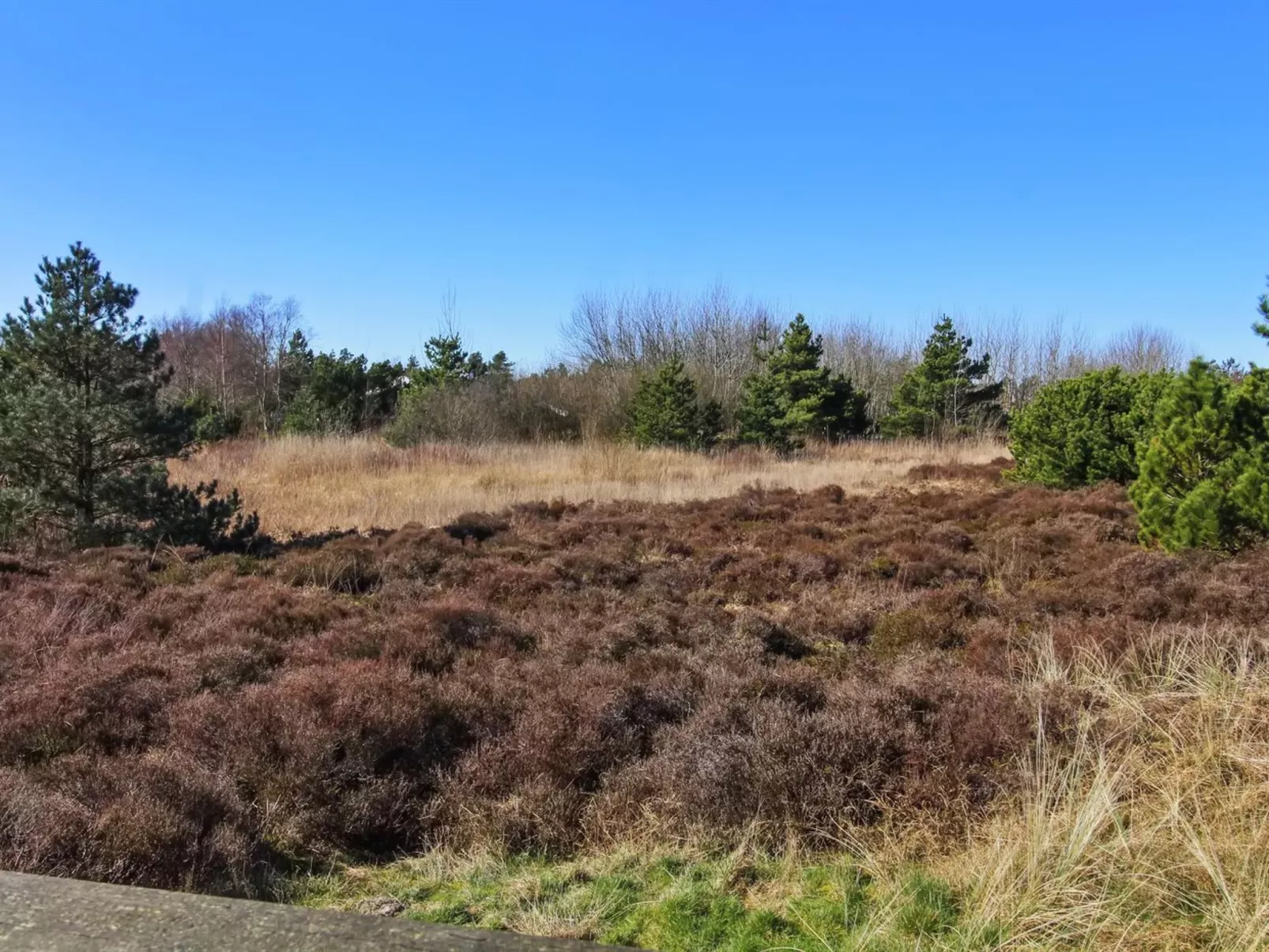 "Sara" - 2.5km from the sea-Outside