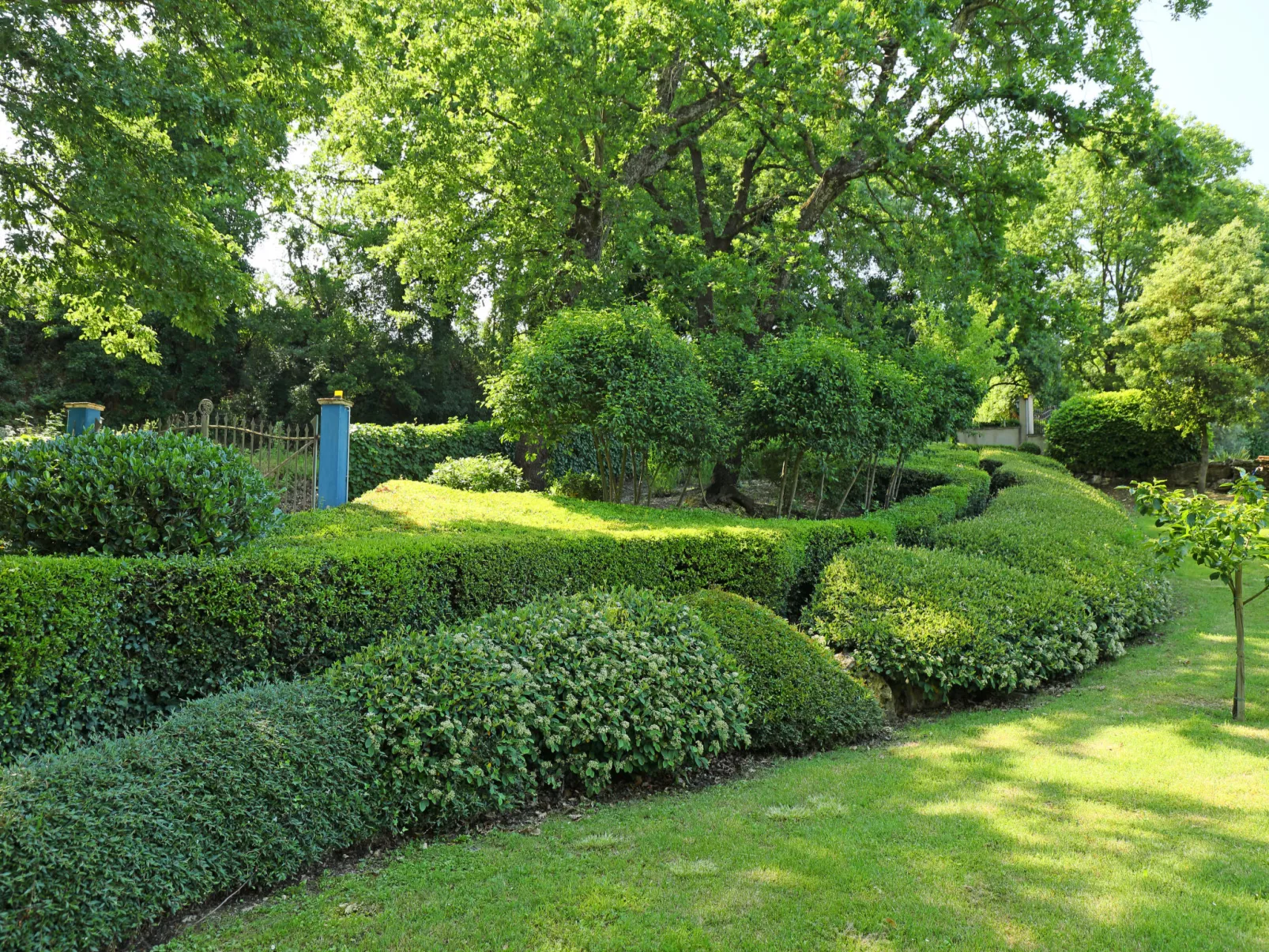 Nest-Outside