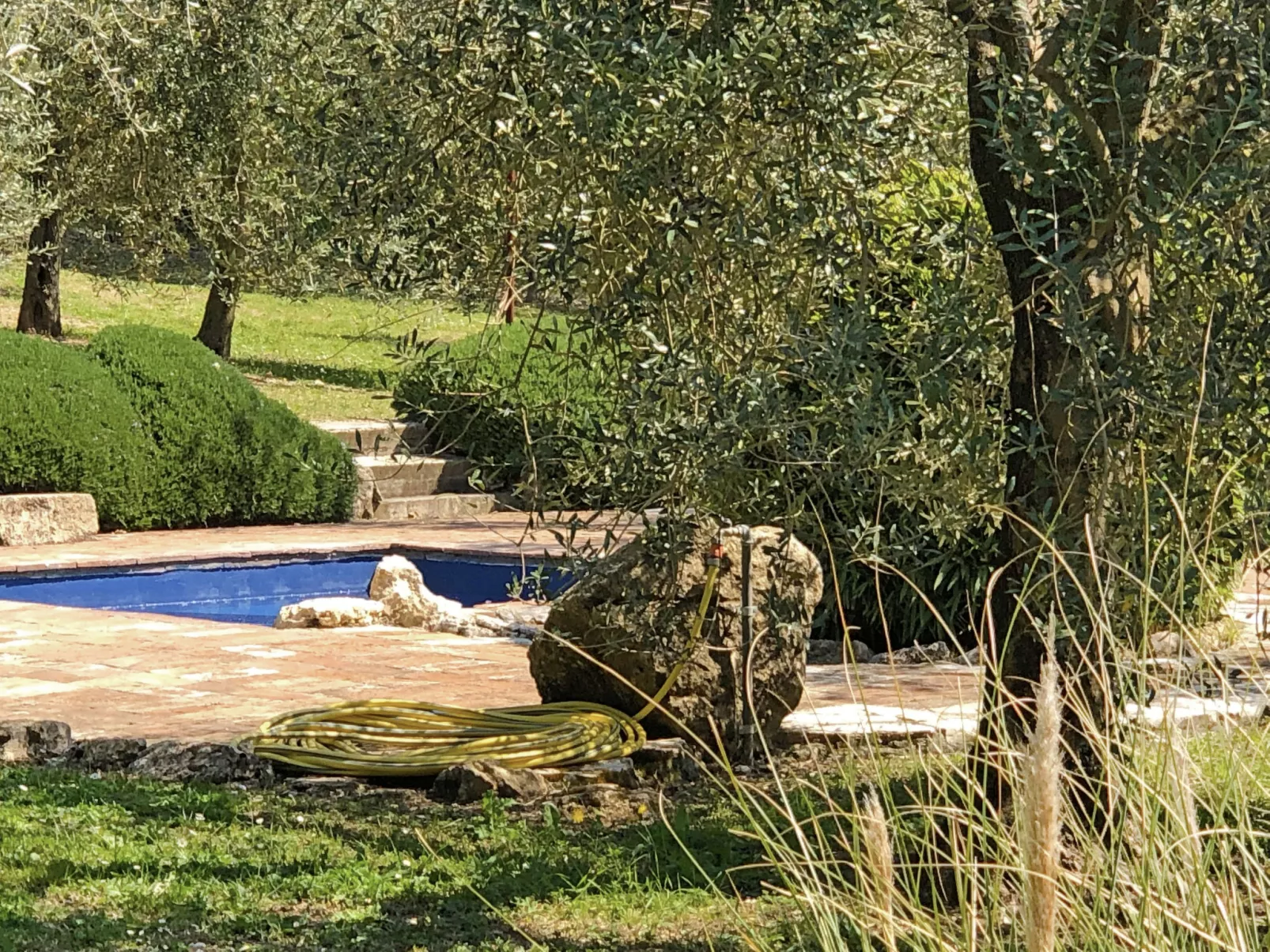 Nest-Outside