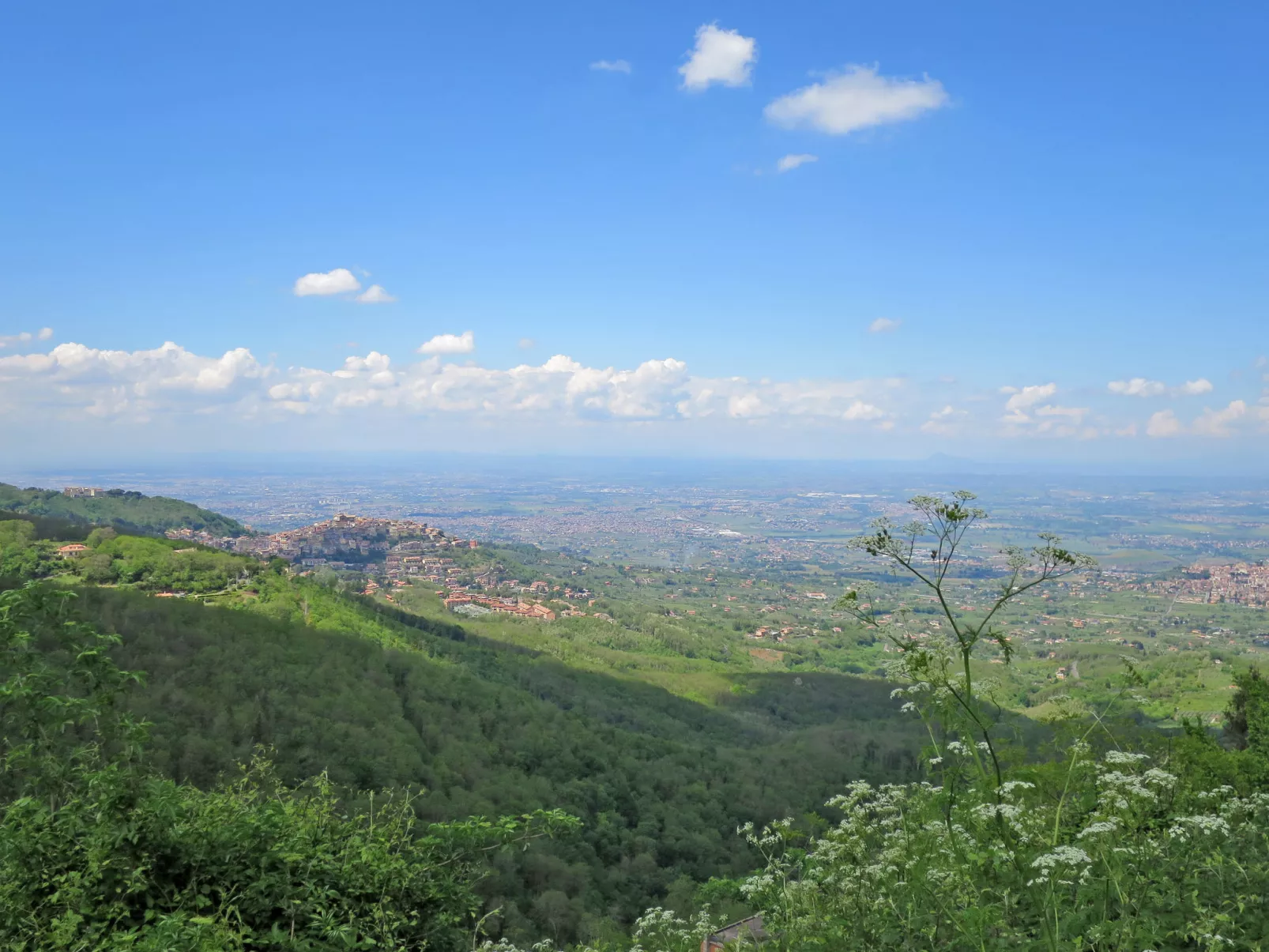 Villa Cicci-Umgebung