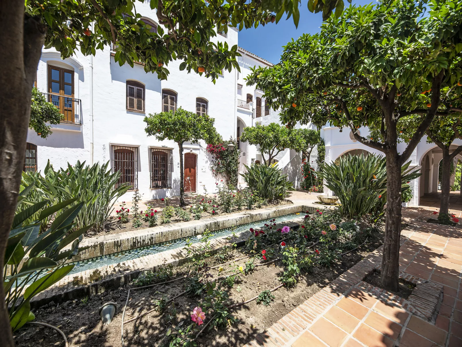Las Ranas-Outside