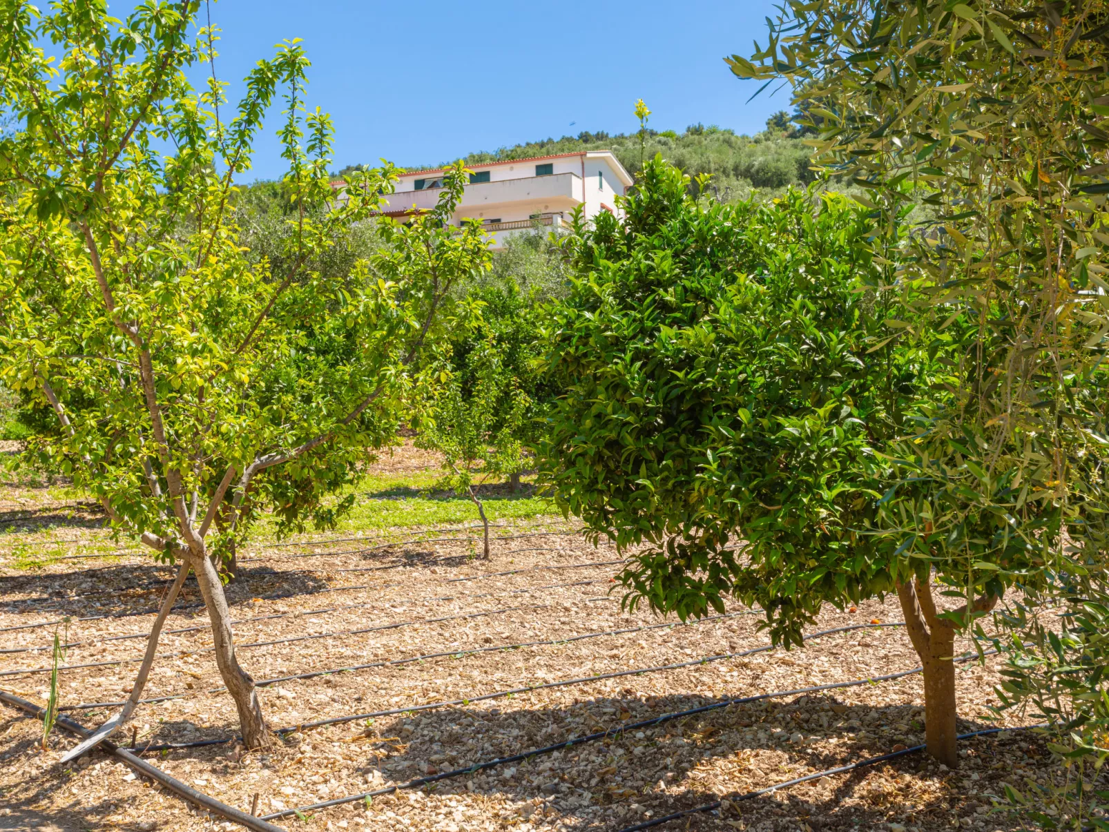 Villa Tavaglione-Dehors