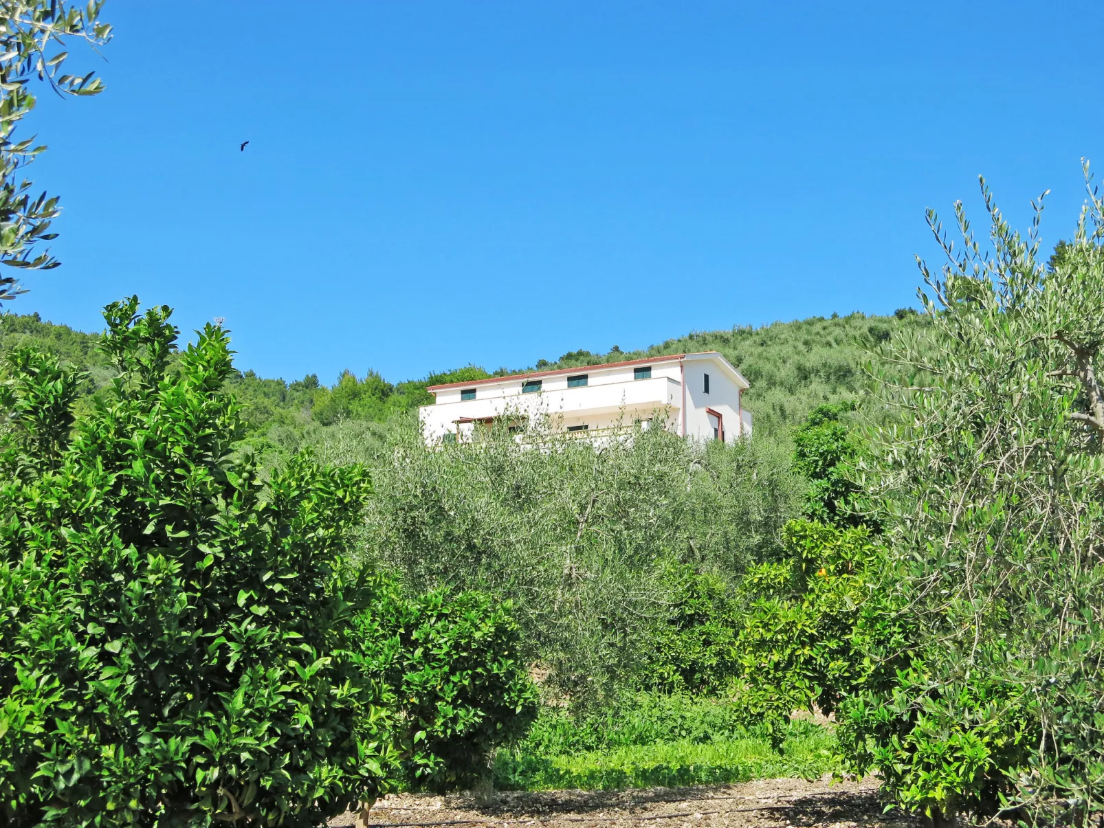 Villa Tavaglione-Dehors