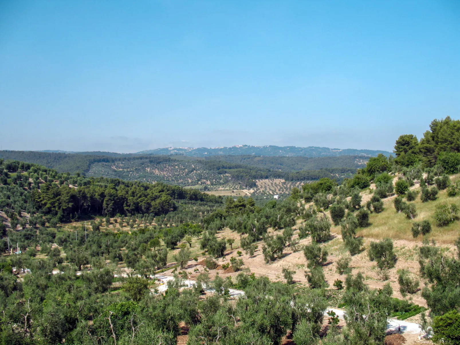 Villa Tavaglione-Outside