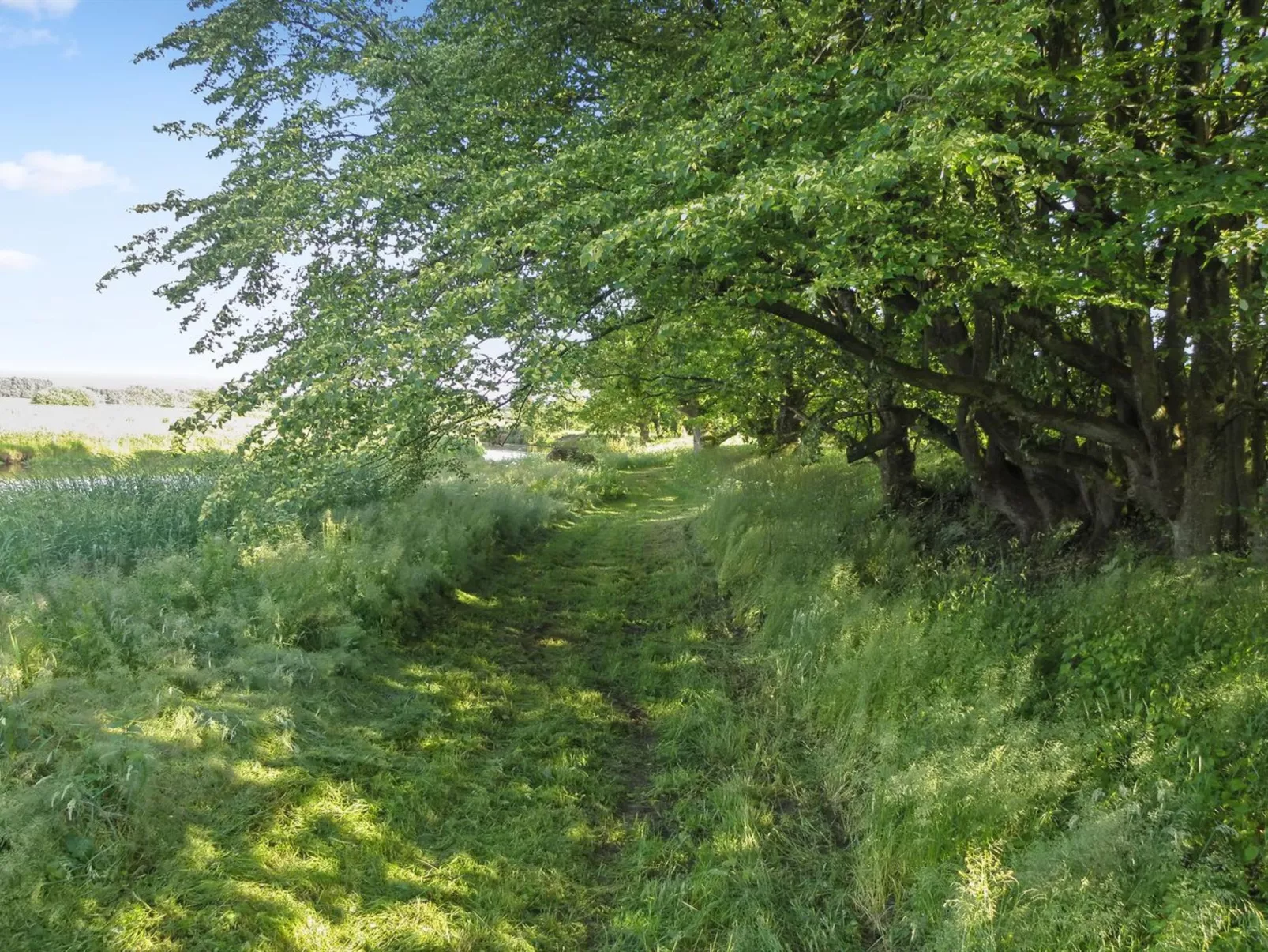 "Beatha" - 25km to the inlet-Outside