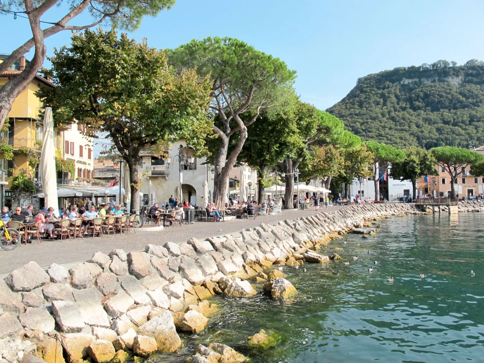 Ca' Pignoi-Area
