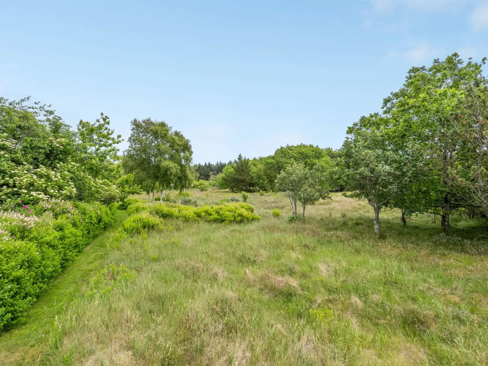 "Anneke" - 2km from the sea-Outside