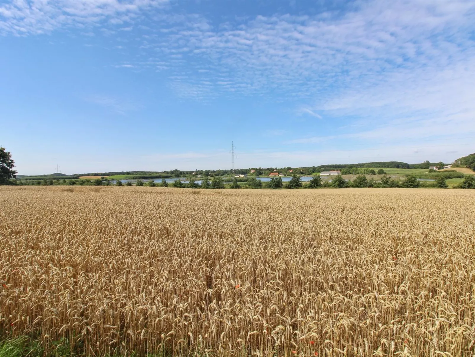 "Kundry" - 800m from the sea-Outside