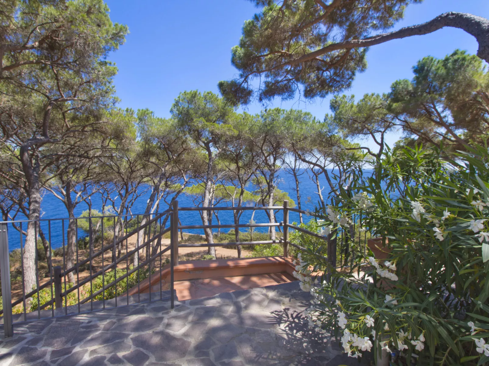 Capo d'Arco-Dehors