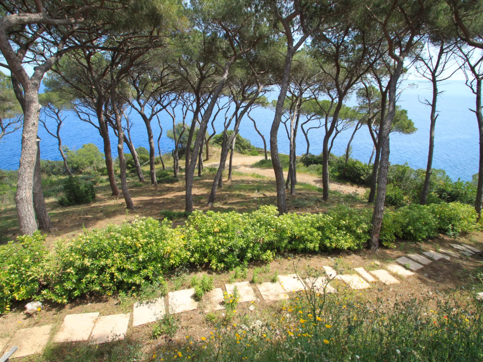 Capo d'Arco-Dehors