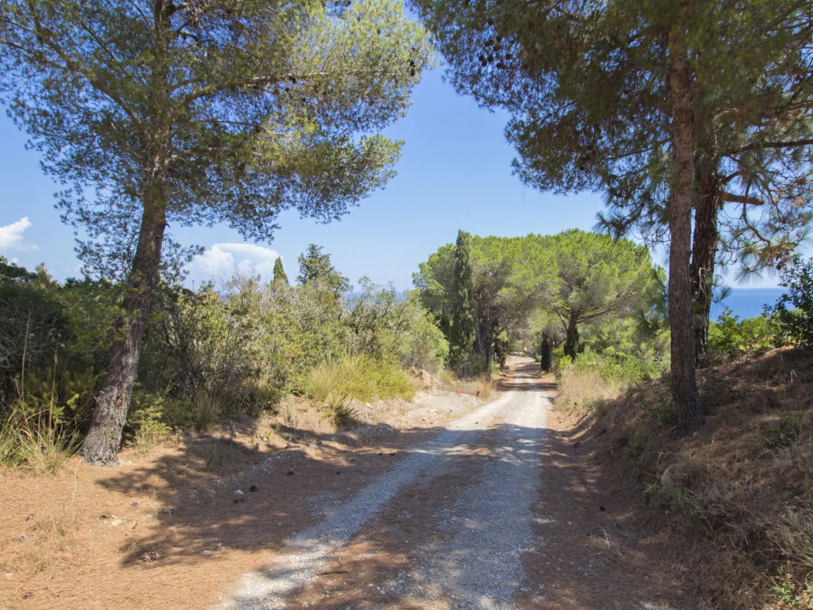 Capo d'Arco-Dehors
