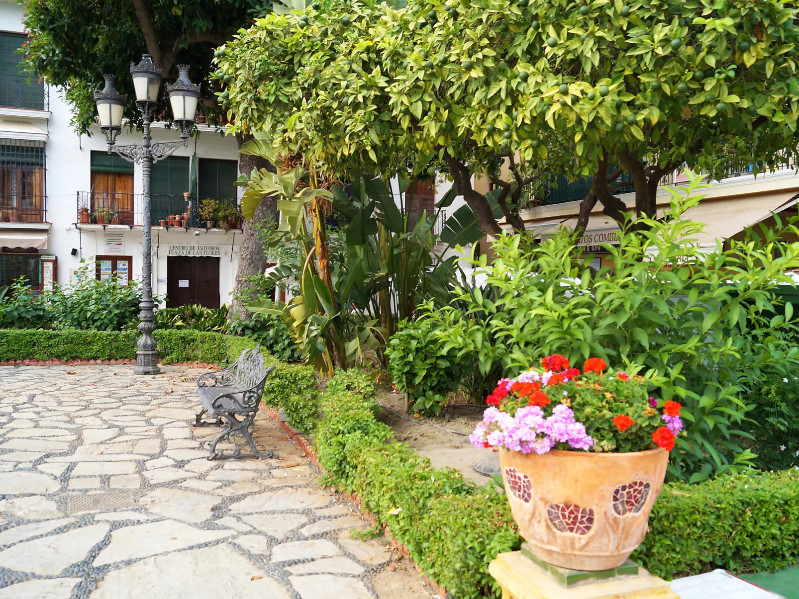 Plaza de las Flores-Outside