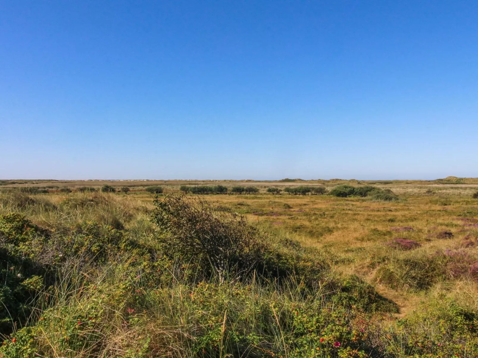 "Alim" - 300m from the sea-Outside